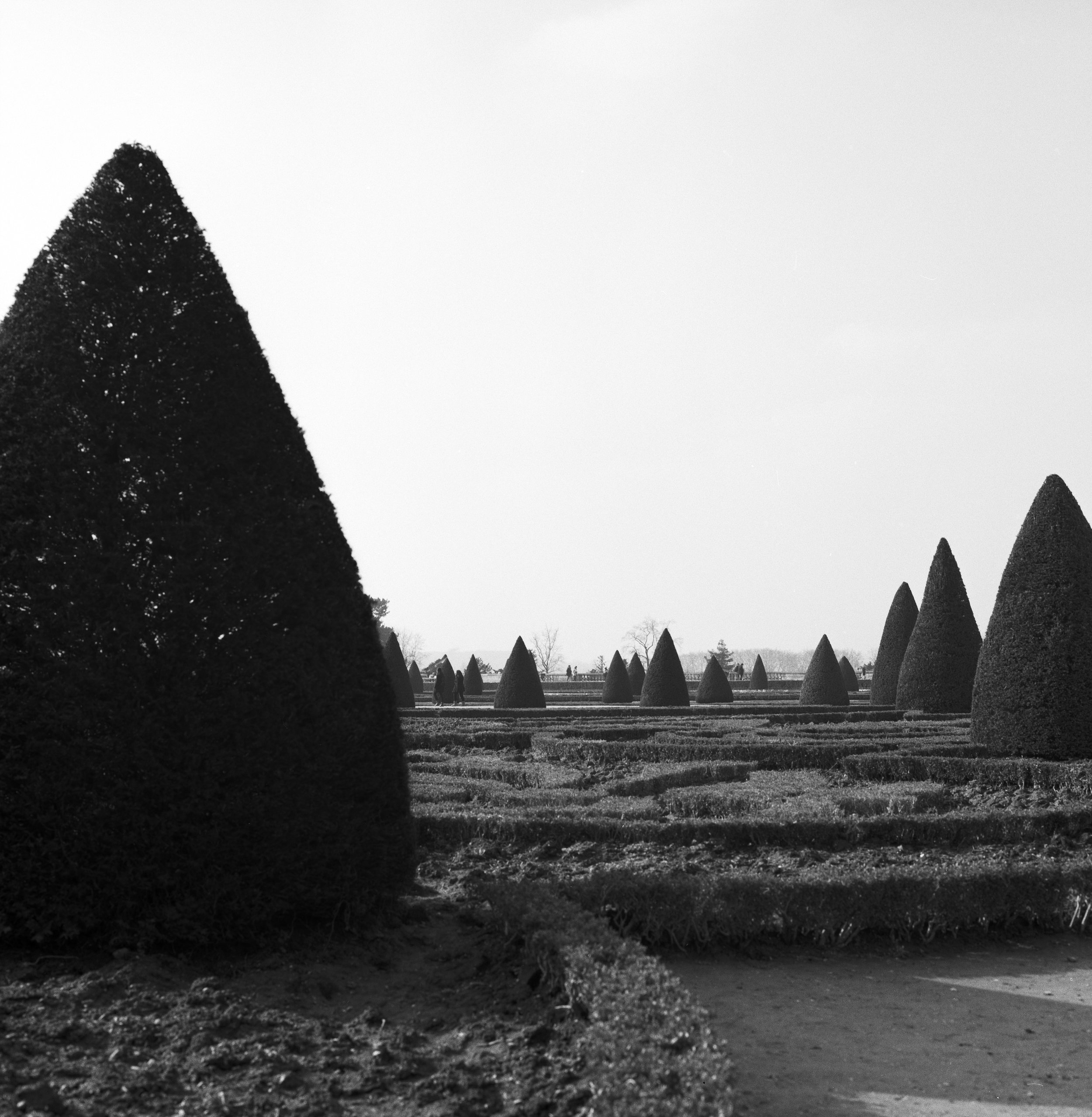 Untitled Versailles 01.jpeg