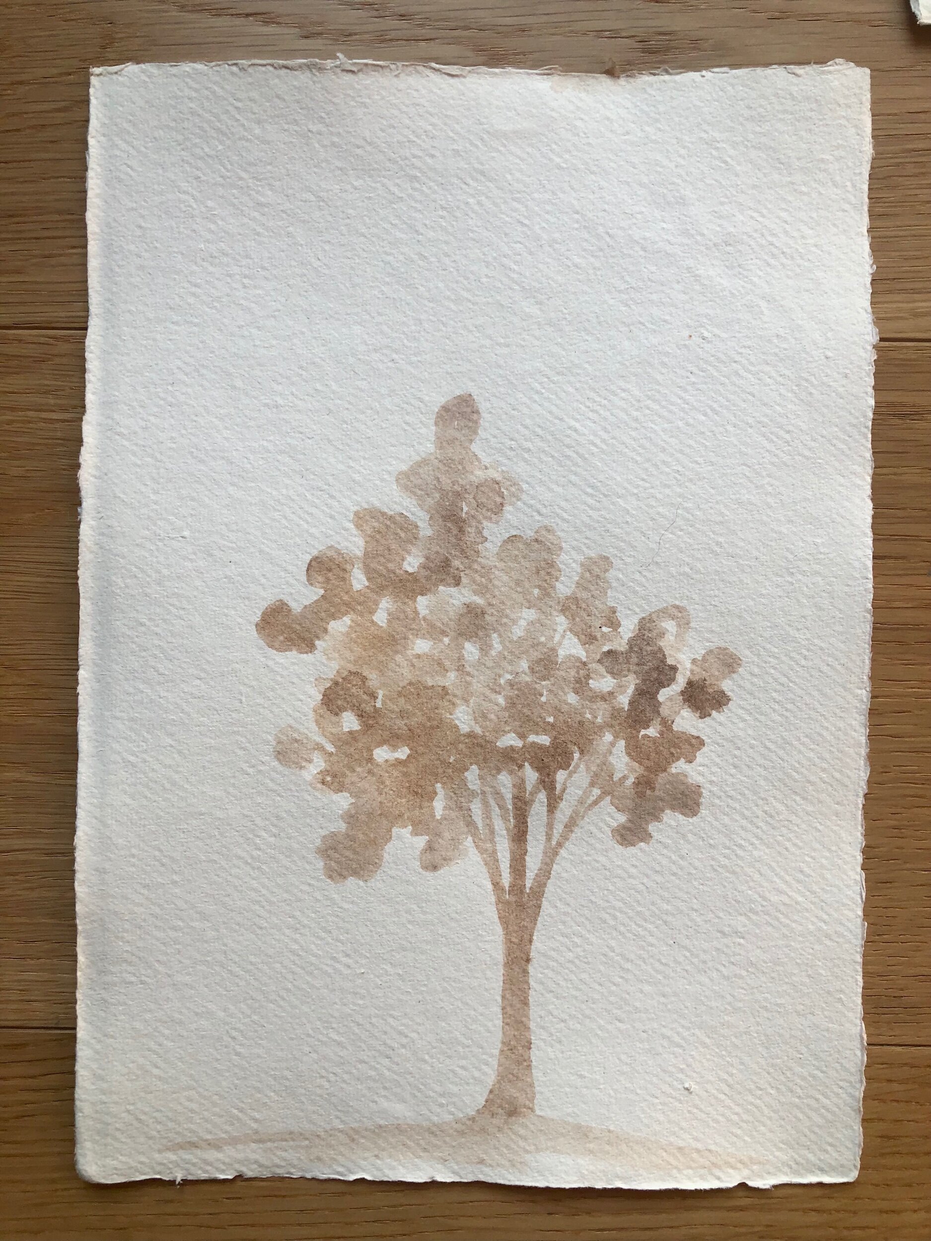 FC2CDBA4-0ECA-45D7-8FD3-A3F7A61EB891