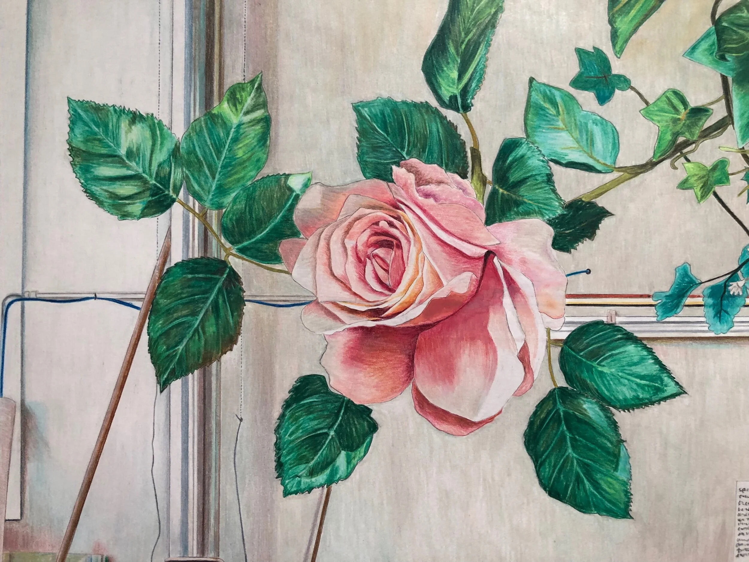 86DDEFE5-B18F-490F-AACD-FD5420CE8177