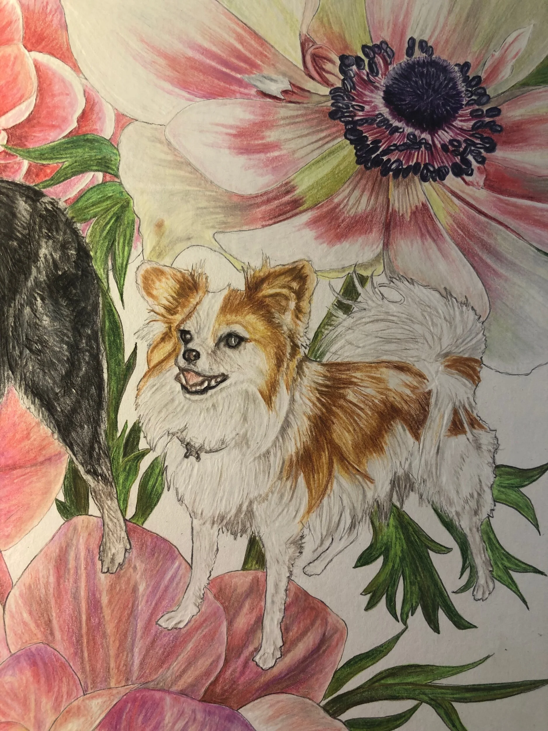 75CAF226-197B-4622-8294-6B778A2CAB22