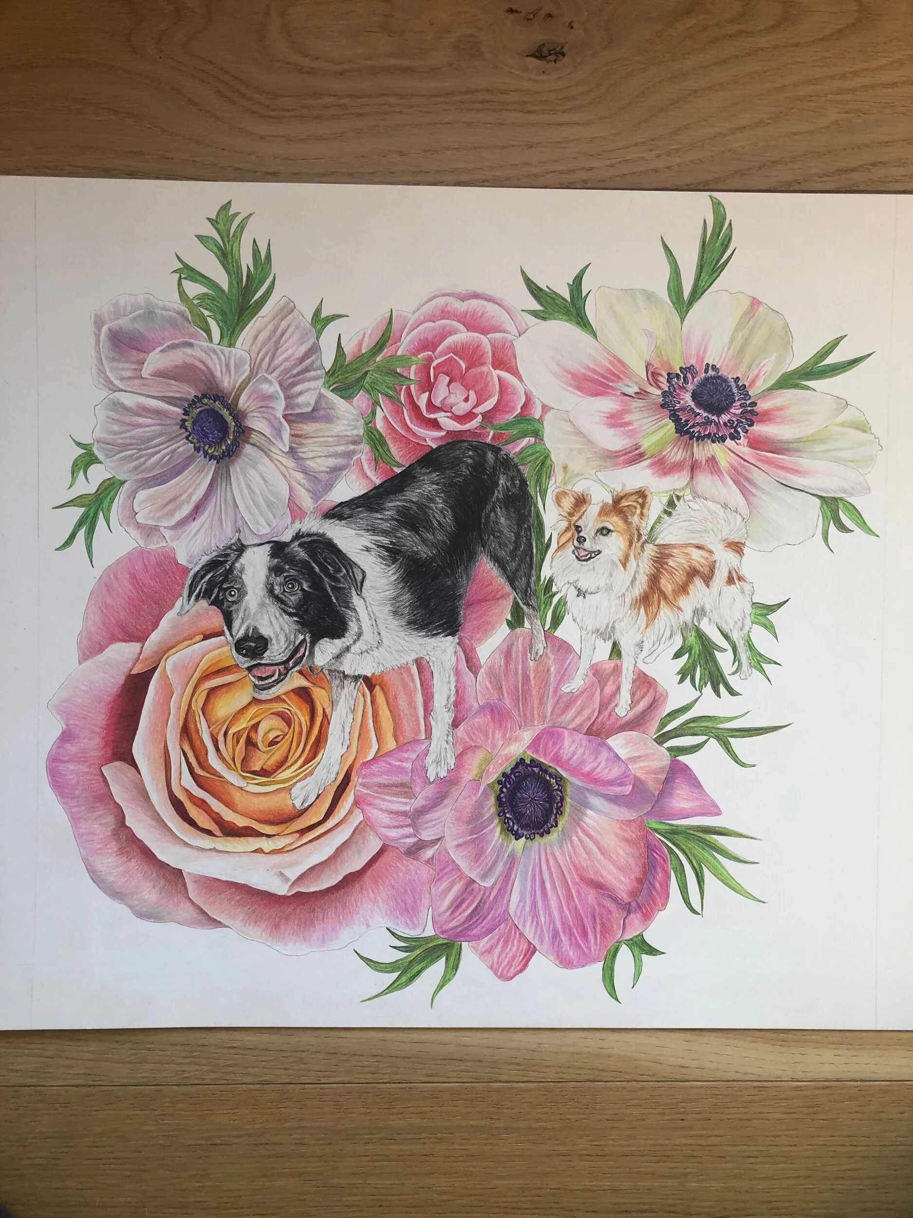 40F1B159-F811-4BEE-8D04-D8C8E5E99326