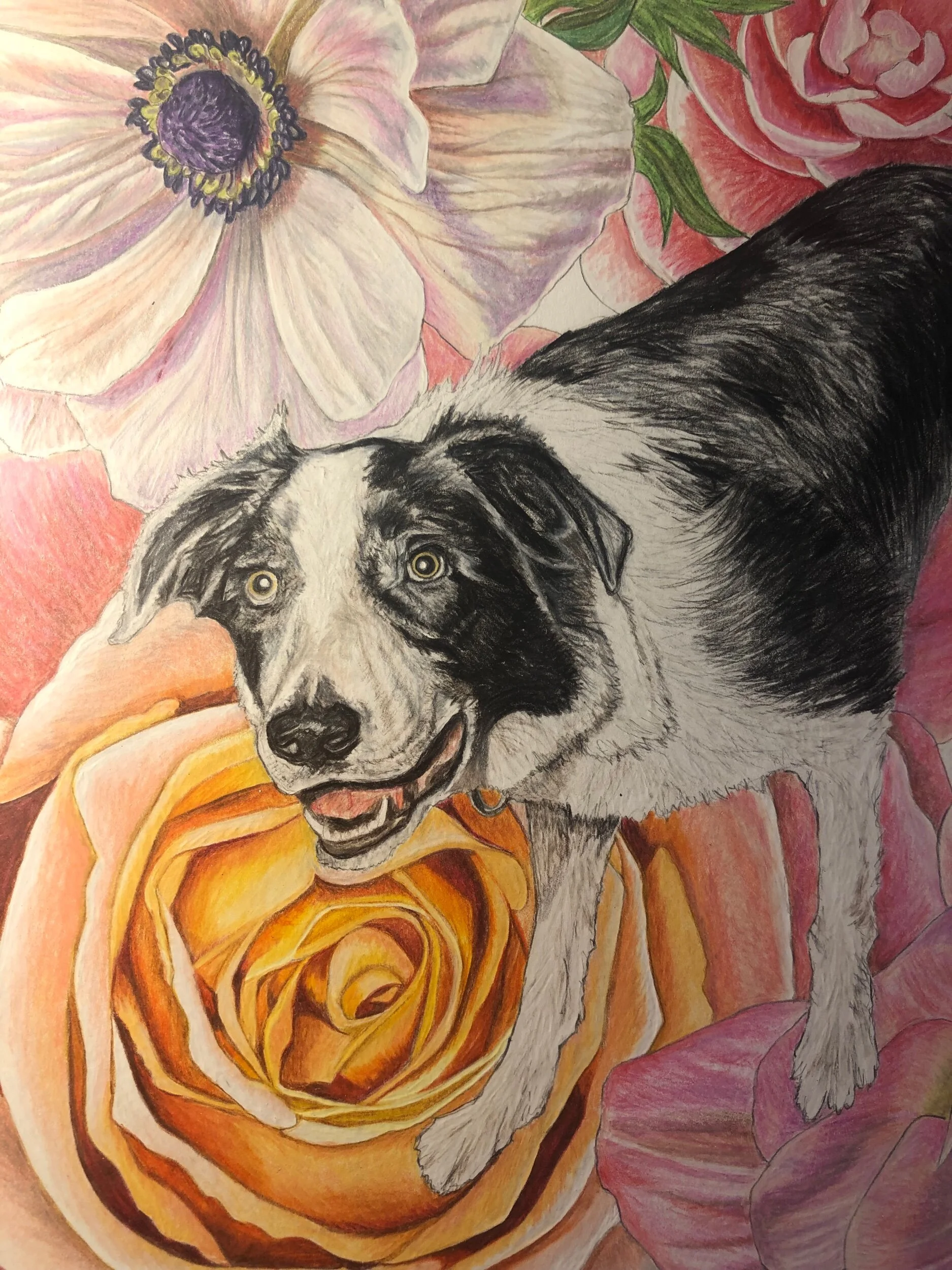 5C9FDF37-7989-4044-8AD1-E27FEEB5AC7A