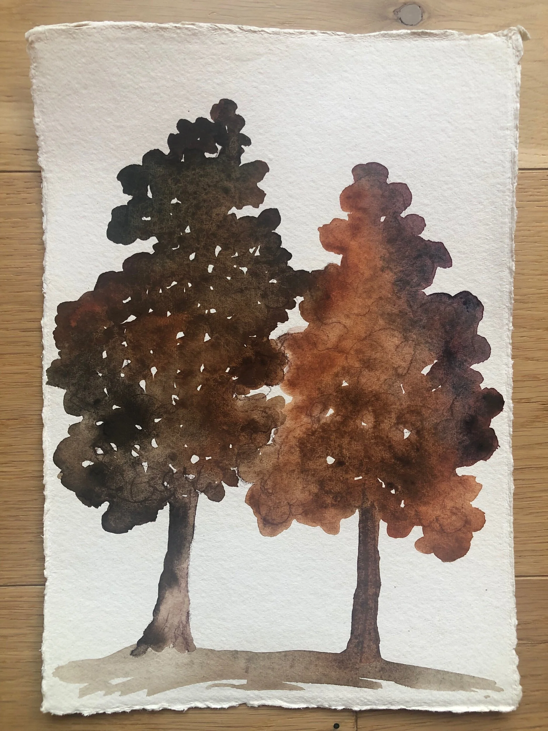 5A6E2FF9-FC43-4B99-B69B-095F9AC2A62E