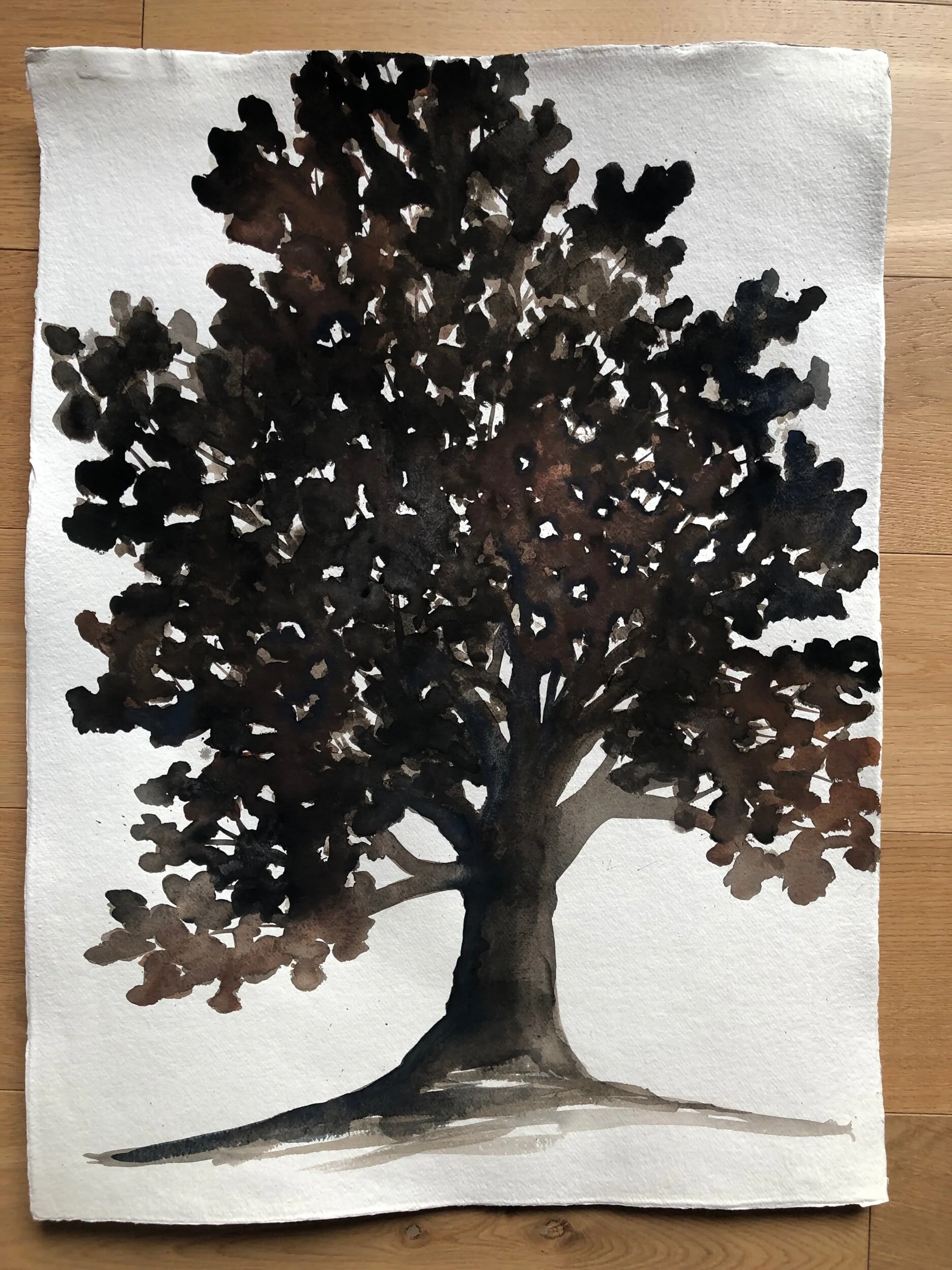 ABD2811E-3F81-4B2C-9DFE-9F154513F26B