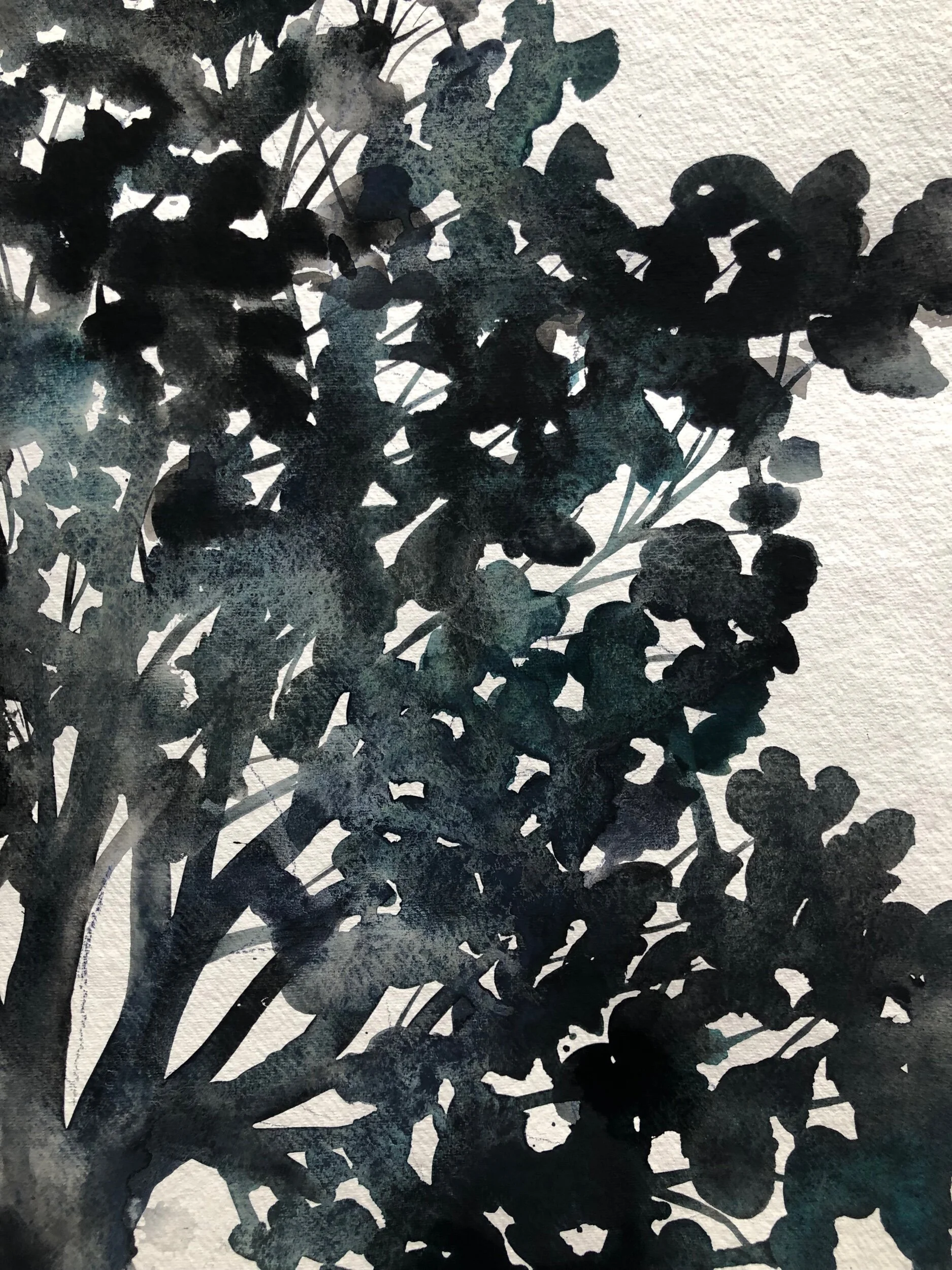 6D37F14B-368D-4A16-BFBE-A613202A42CF