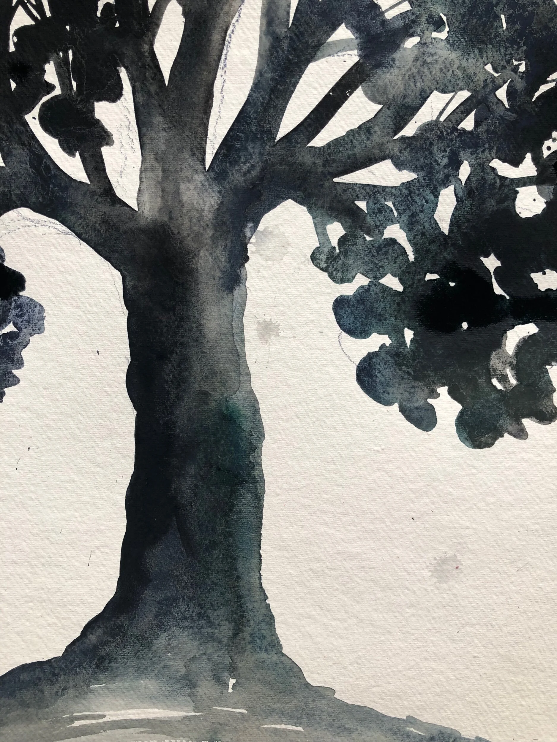 5D20DD6D-13F2-4502-ABBF-427311C2BD4F