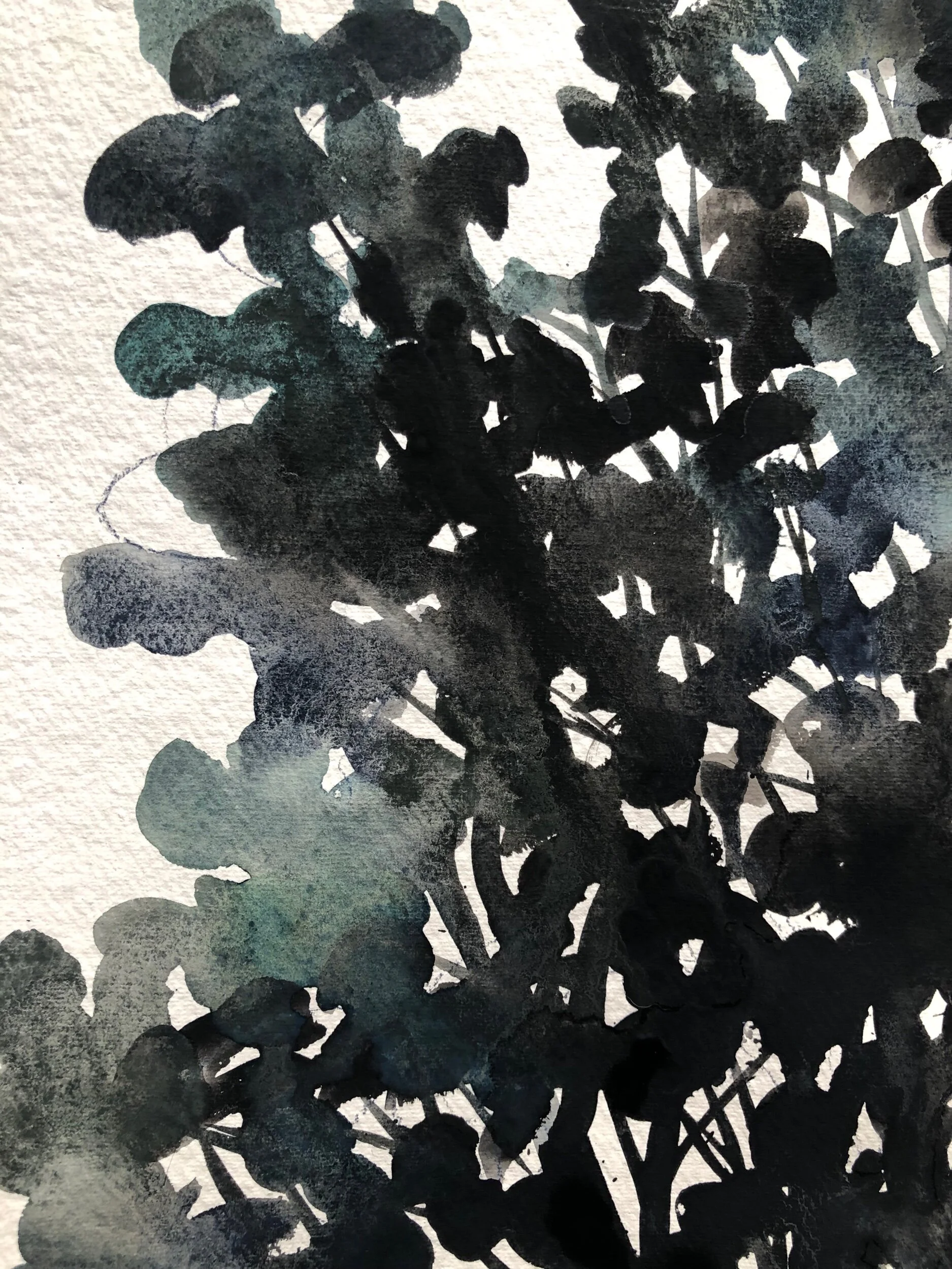 B8FA3B49-08EA-46D6-84E2-965E1574F8B4