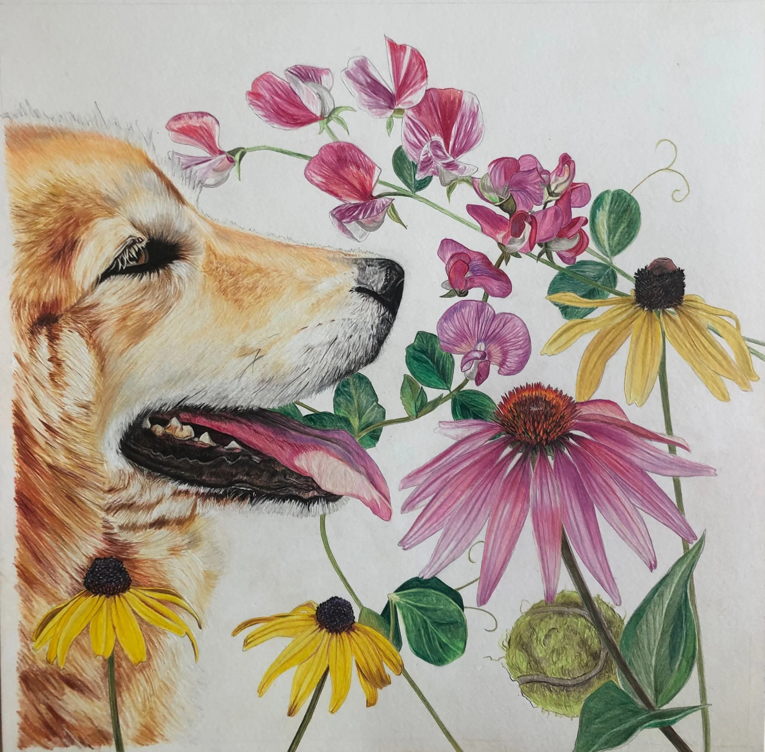 25FC3D67-00CD-436B-B114-86511B454B8F