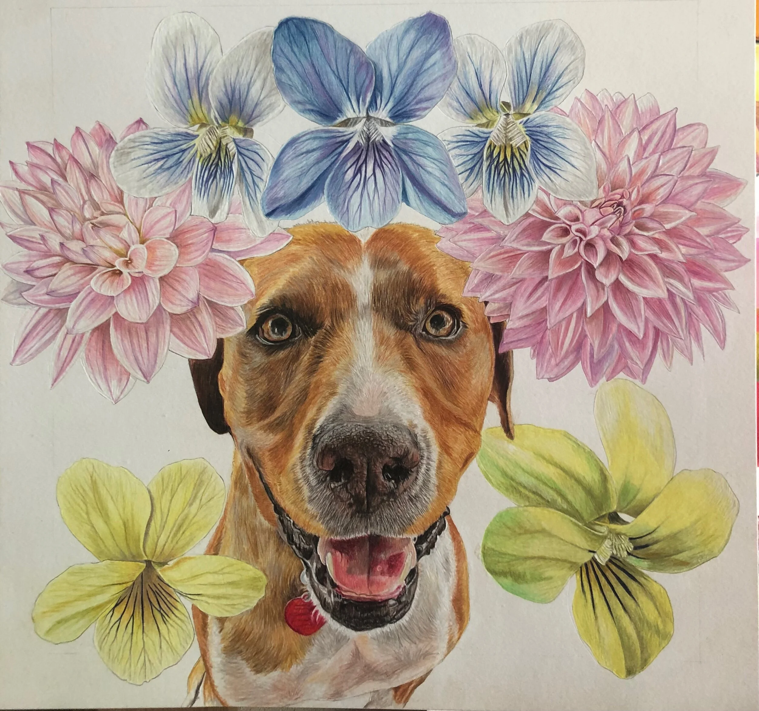 7243F19D-A12E-41B2-9D52-742B3F68DF8D