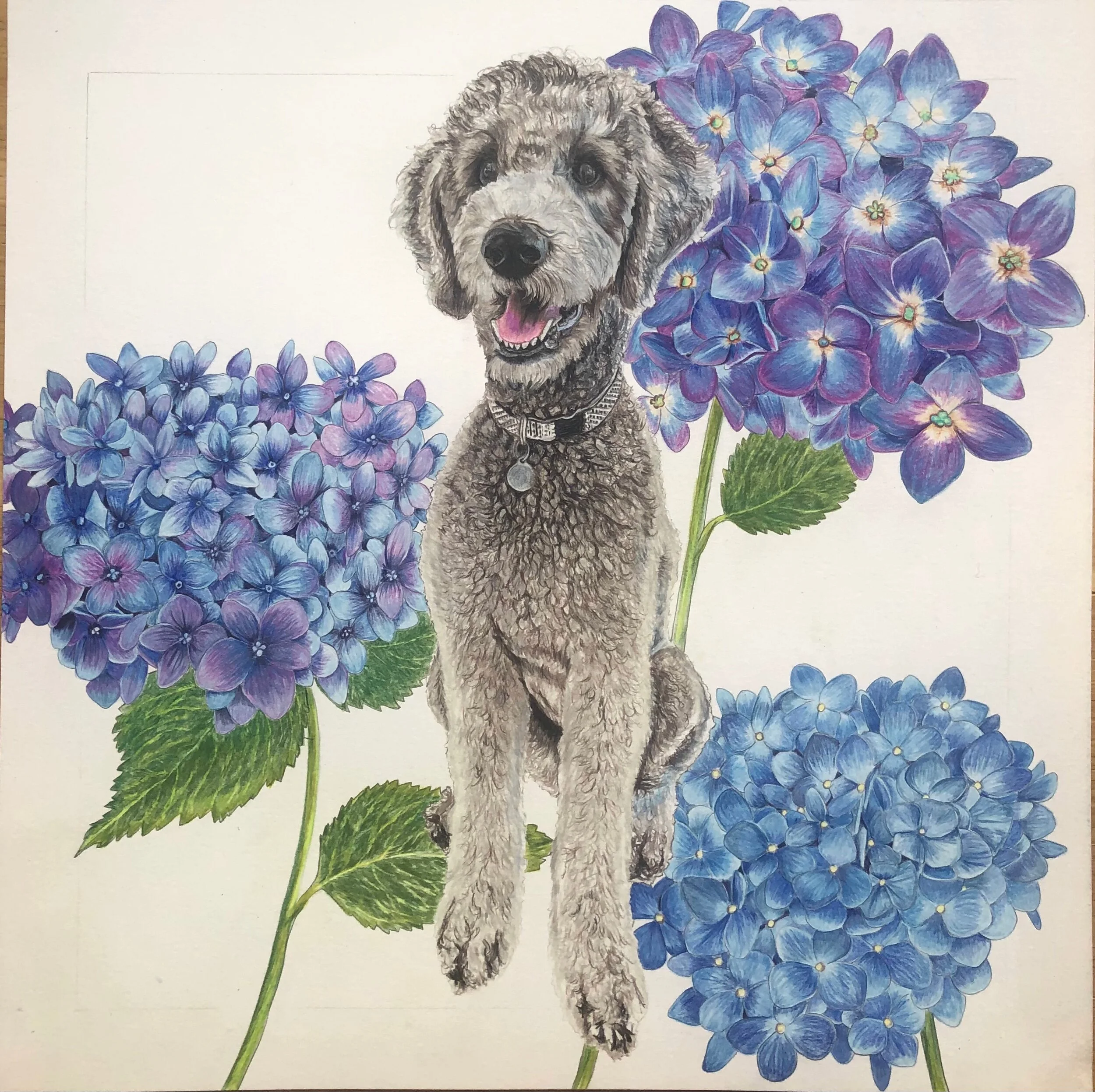 C558F53B-5E7D-4E39-B745-00C73BE4EA0F