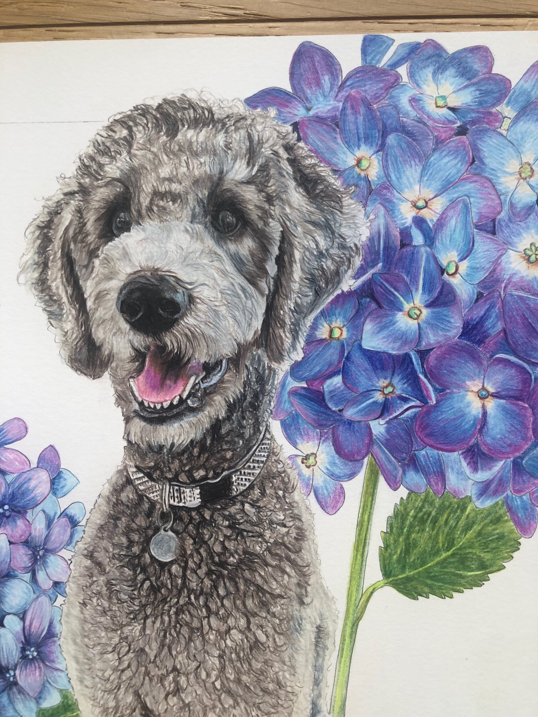 A7786811-8DB4-4B33-BA7B-4C57CA56F721