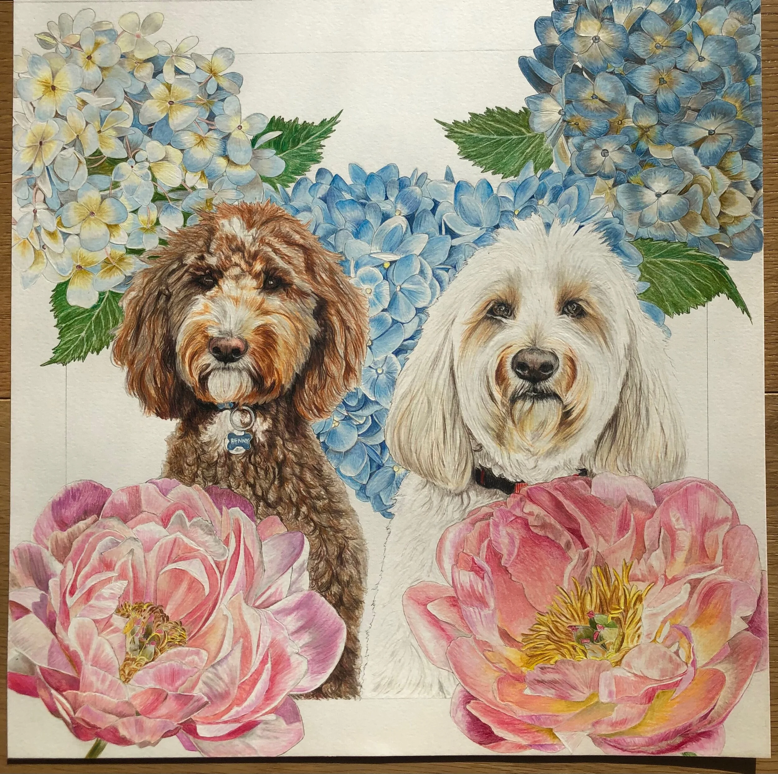 F7C171AE-4DF5-439F-B706-B69AECF39FCC