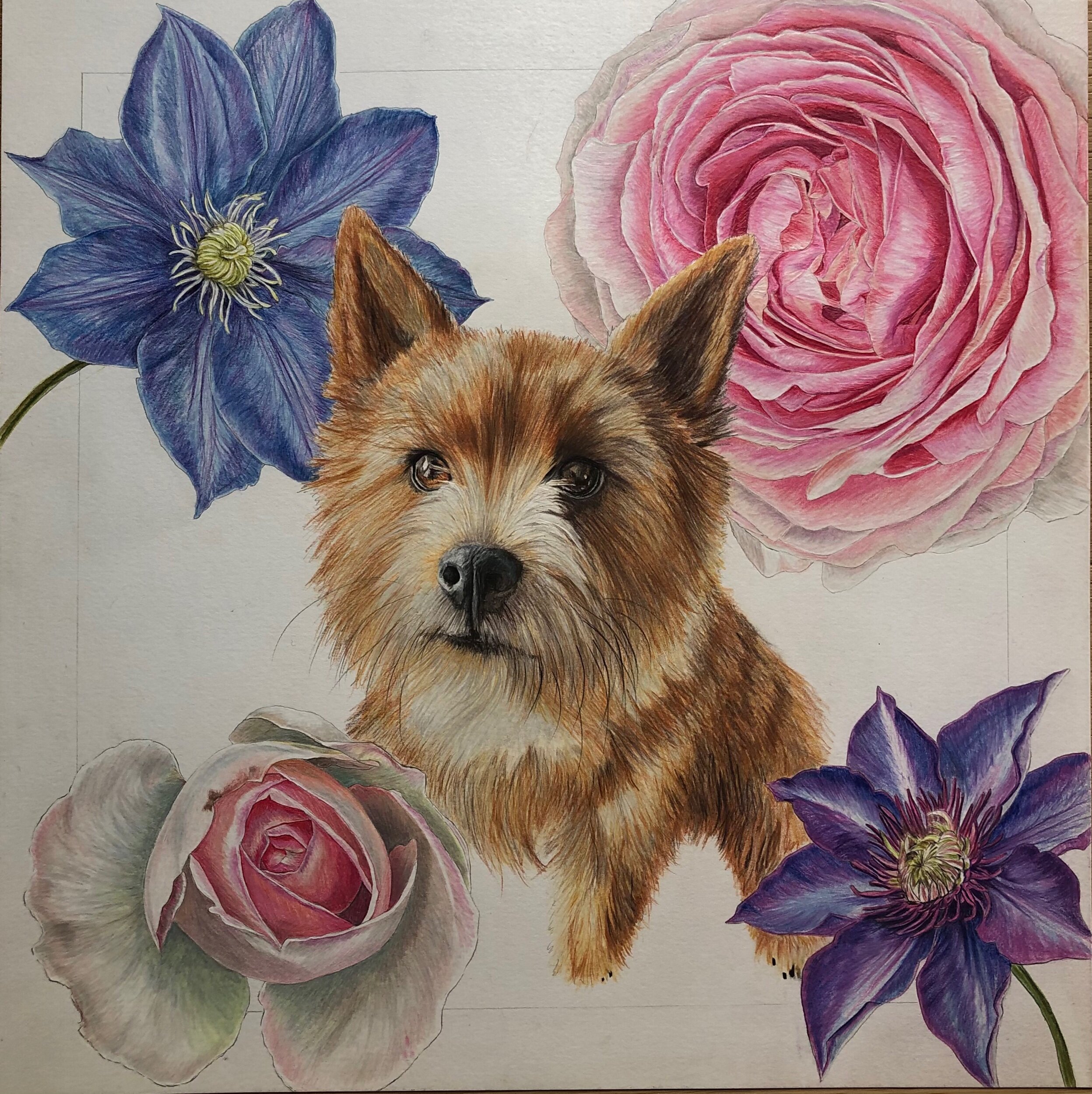 034E4C41-E80F-4C28-BA40-6439F4A38C38