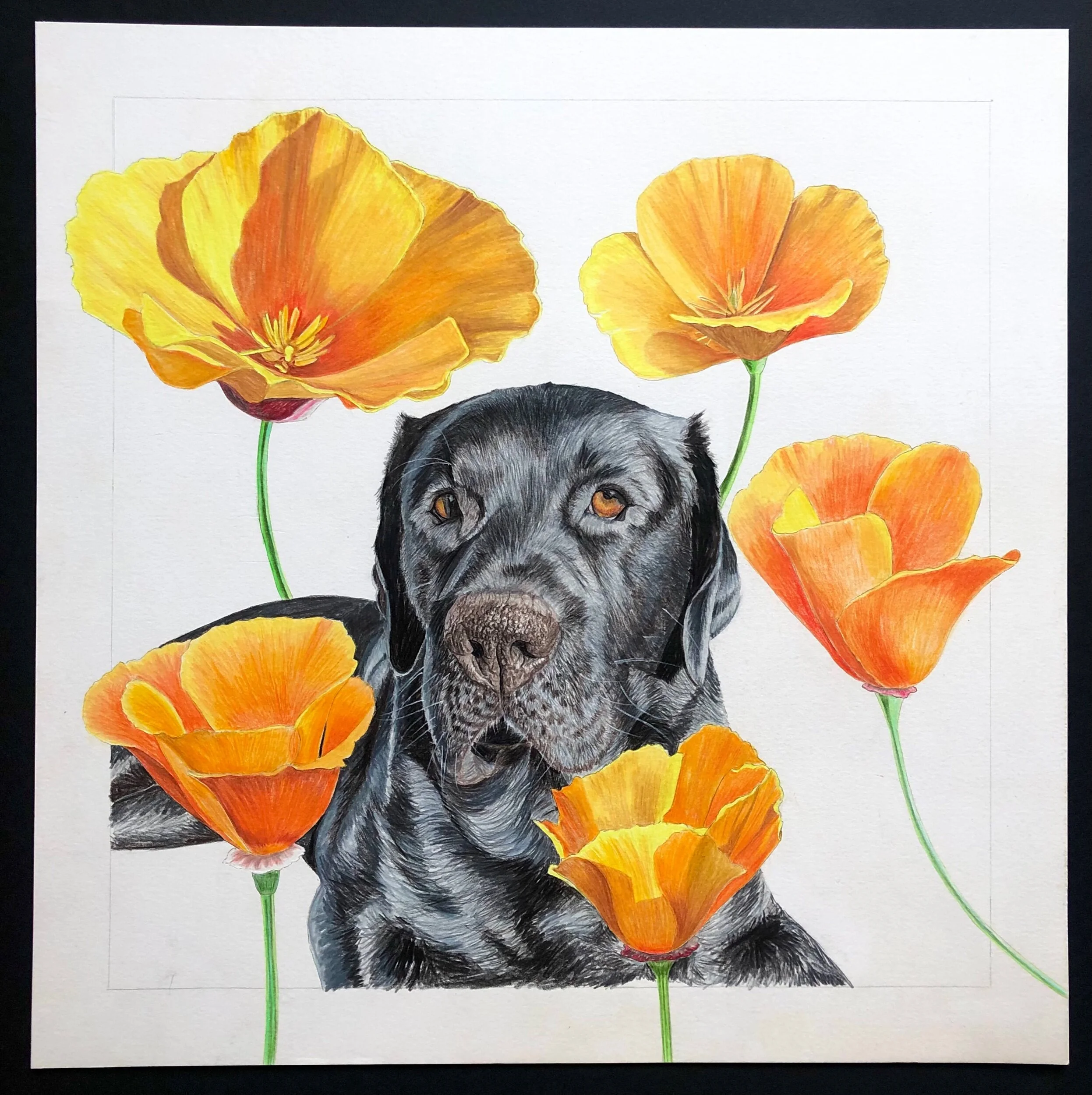 2B9E1100-1684-4D73-BC66-1CF0E6D520DE