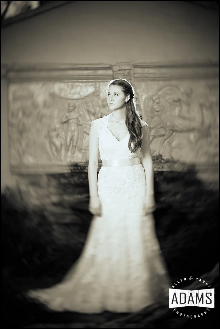 Adams Photography tori's Bridal Portraits_0022.jpg