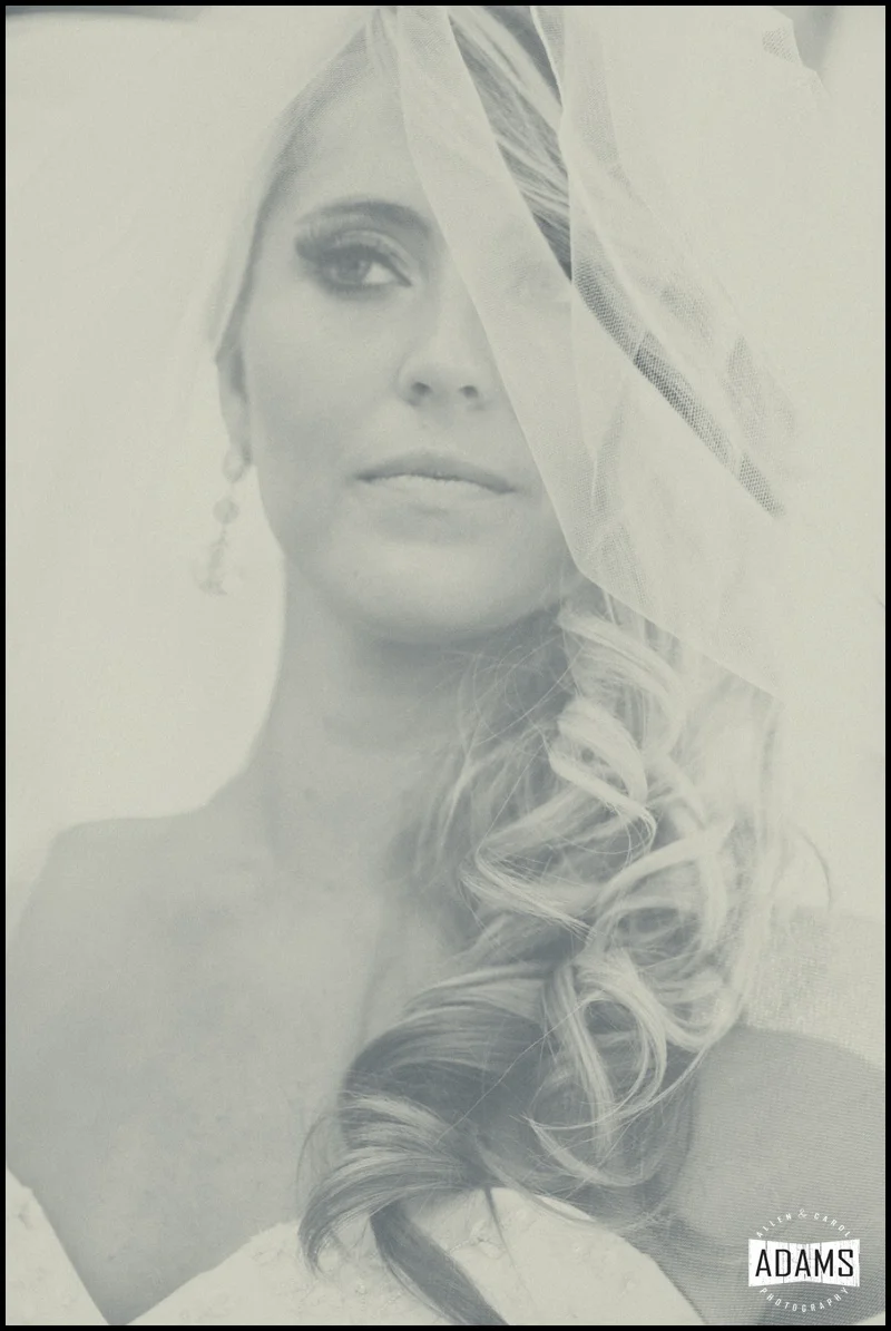 BEAUTY, CONFIDENCE, POISE! WE HAVE THE BEST BRIDES, I TELL YOU.