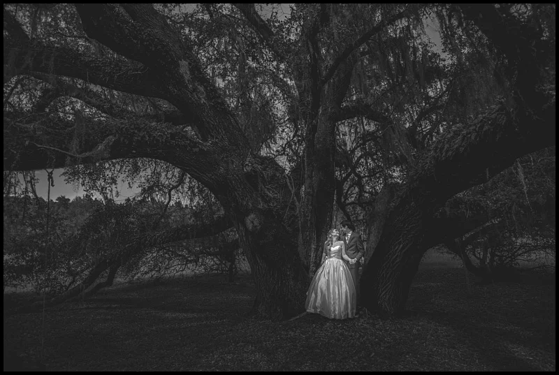 willow pond wedding_0039.jpg