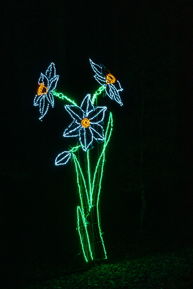 Callaway Gardens 2018-201.jpg