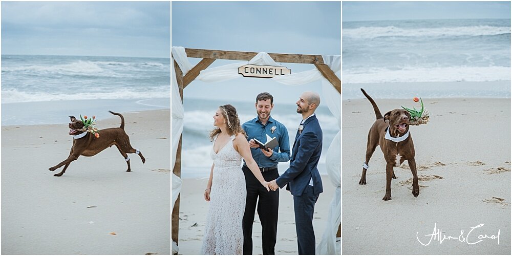  Jack decided he had waited long enough for his moment in the spotlight.  The moment the kiss ended, Jack immediately jumped up and grabbed the Bride’s bouquet in his mouth and…Took OFF! Ha-ha!  And of course we couldn’t help but capture it. He was s