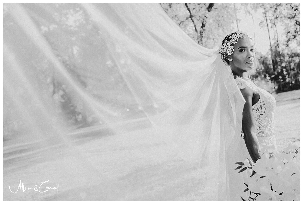 backyard fairytale wedding 2020_0106.jpg