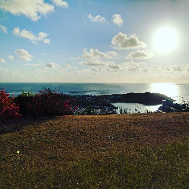 Morning sunshine 🌞🌴🌞🌴 #oceanviews