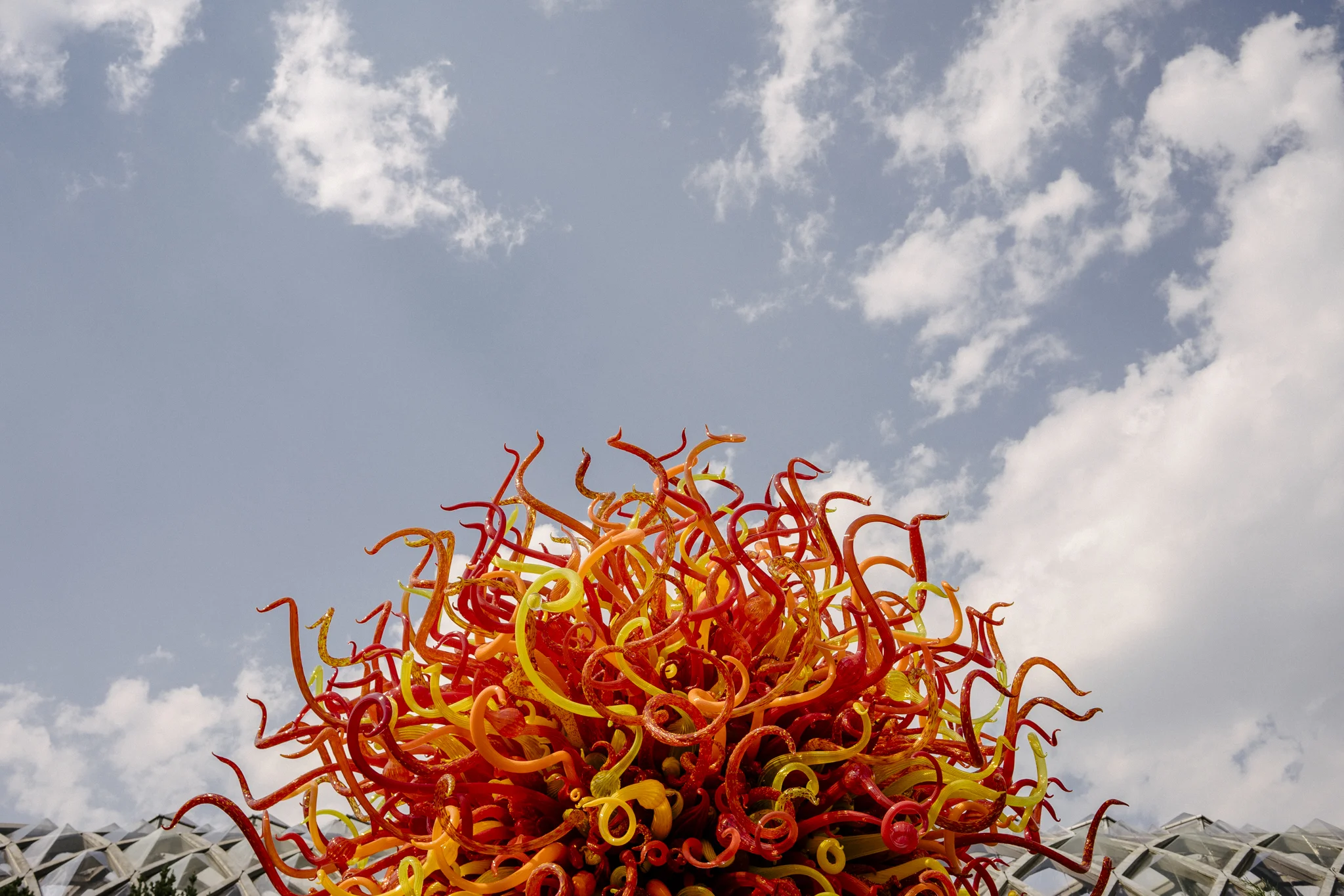 Denver Botanical Gardens // Anna Lee + Brandon