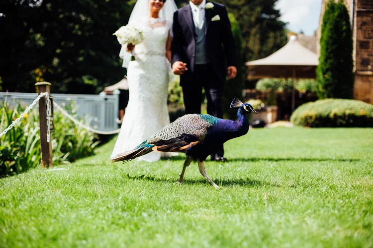 Jemma and Tom's summer wedding at Whitley Hall, Sheffield — photo 26 of 43