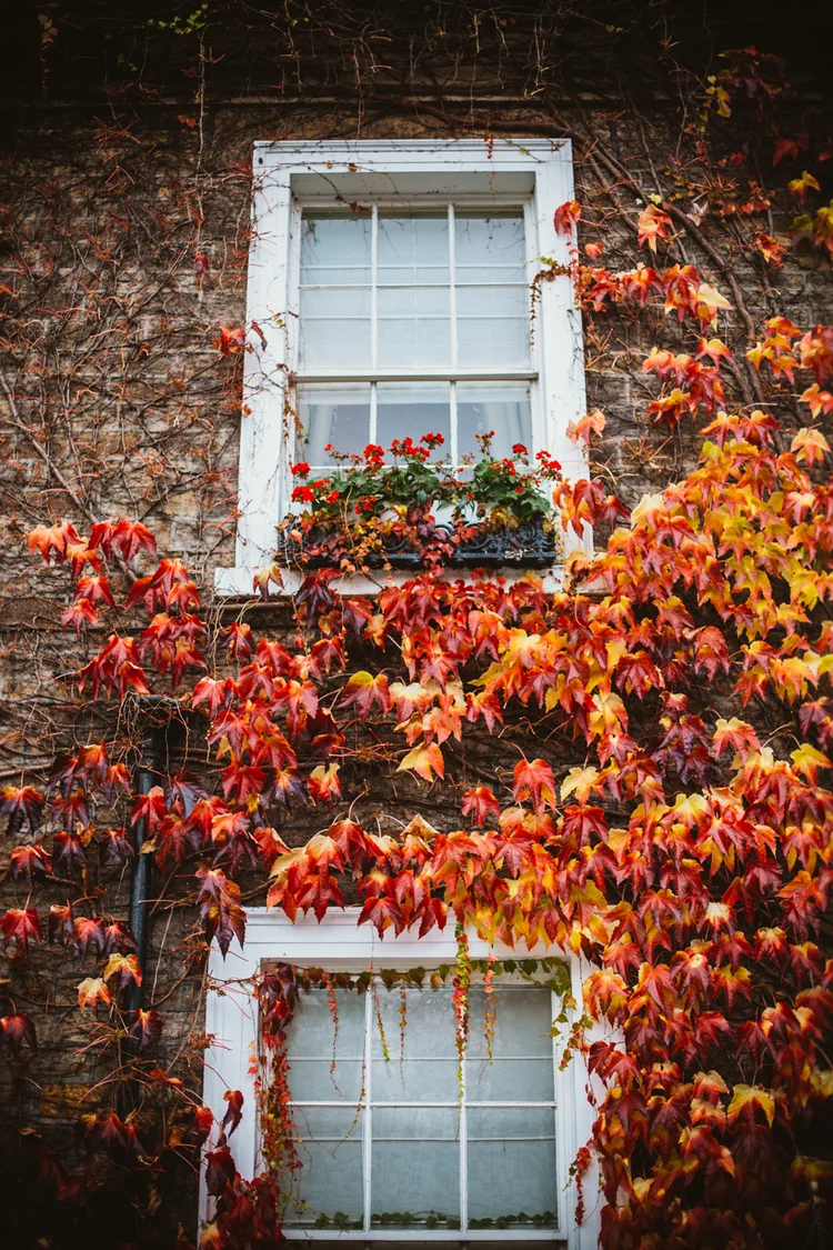 Emma and Tom's autumn wedding at Ringwood Hall, Chesterfield — photo 4 of 91