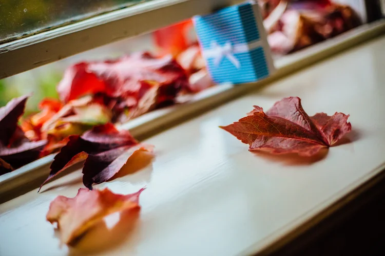 Emma and Tom's autumn wedding at Ringwood Hall, Chesterfield — photo 7 of 91