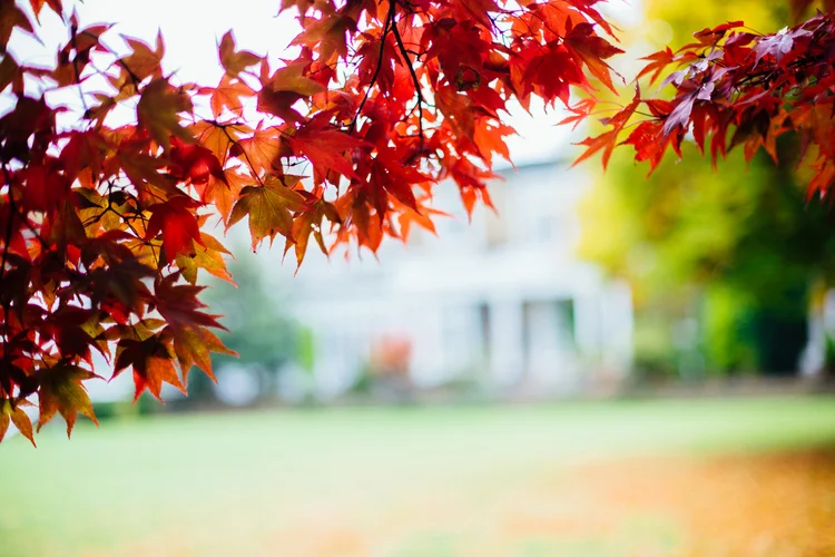 Emma and Tom's autumn wedding at Ringwood Hall, Chesterfield — photo 13 of 91