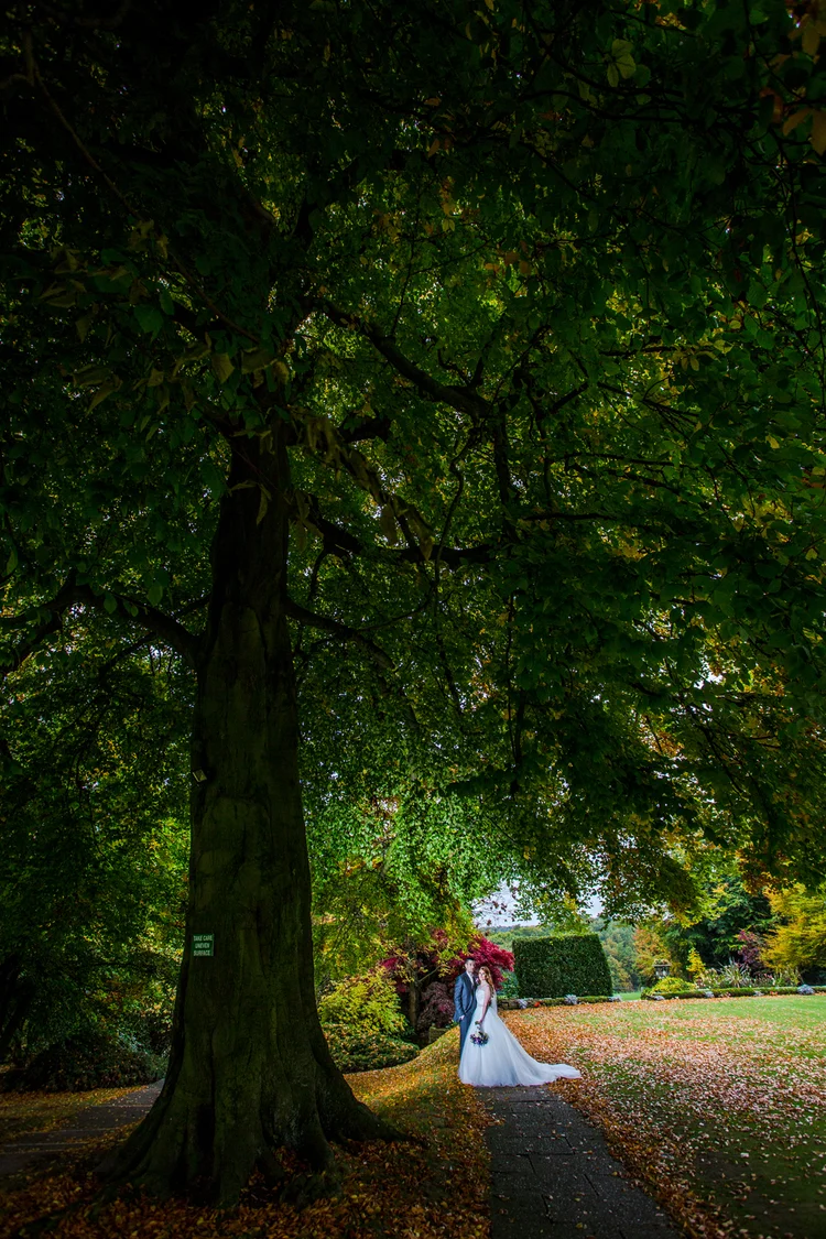 Emma and Tom's autumn wedding at Ringwood Hall, Chesterfield — photo 53 of 91