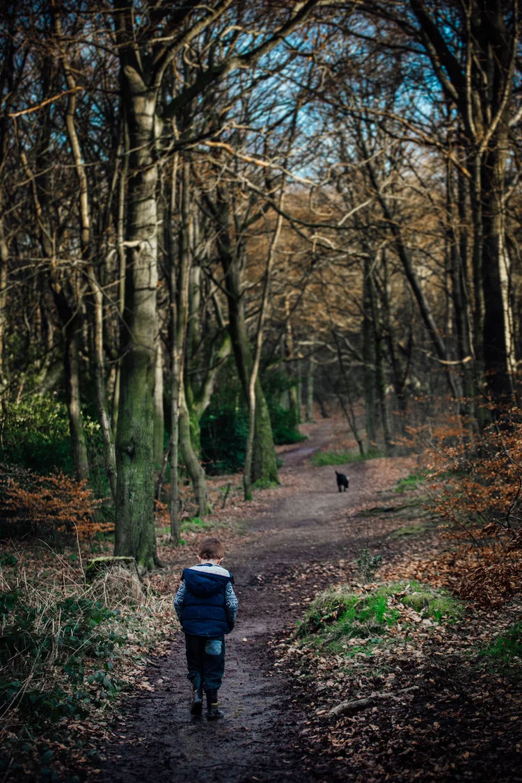 Our own little family walk in the woods, Kimberworth — photo 37 of 47