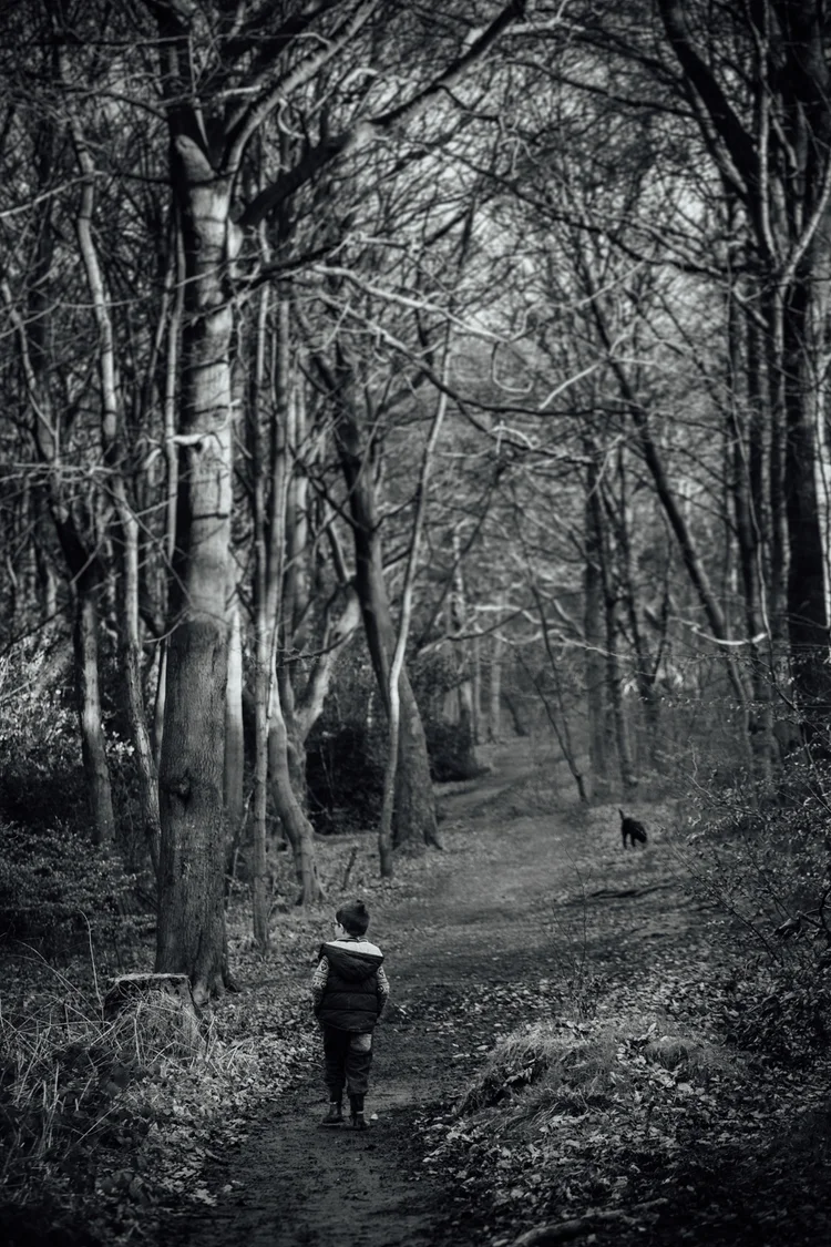 Our own little family walk in the woods, Kimberworth — photo 38 of 47