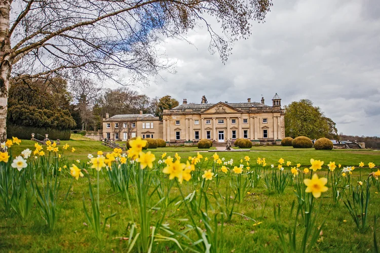 Natalie and Chris's sunny wedding at Wortley Hall, Sheffield — photo 23 of 86