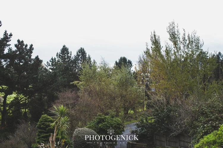 Ròisín and PJ's wedding at Tinakilly House, Wicklow, Ireland — photo 3 of 161