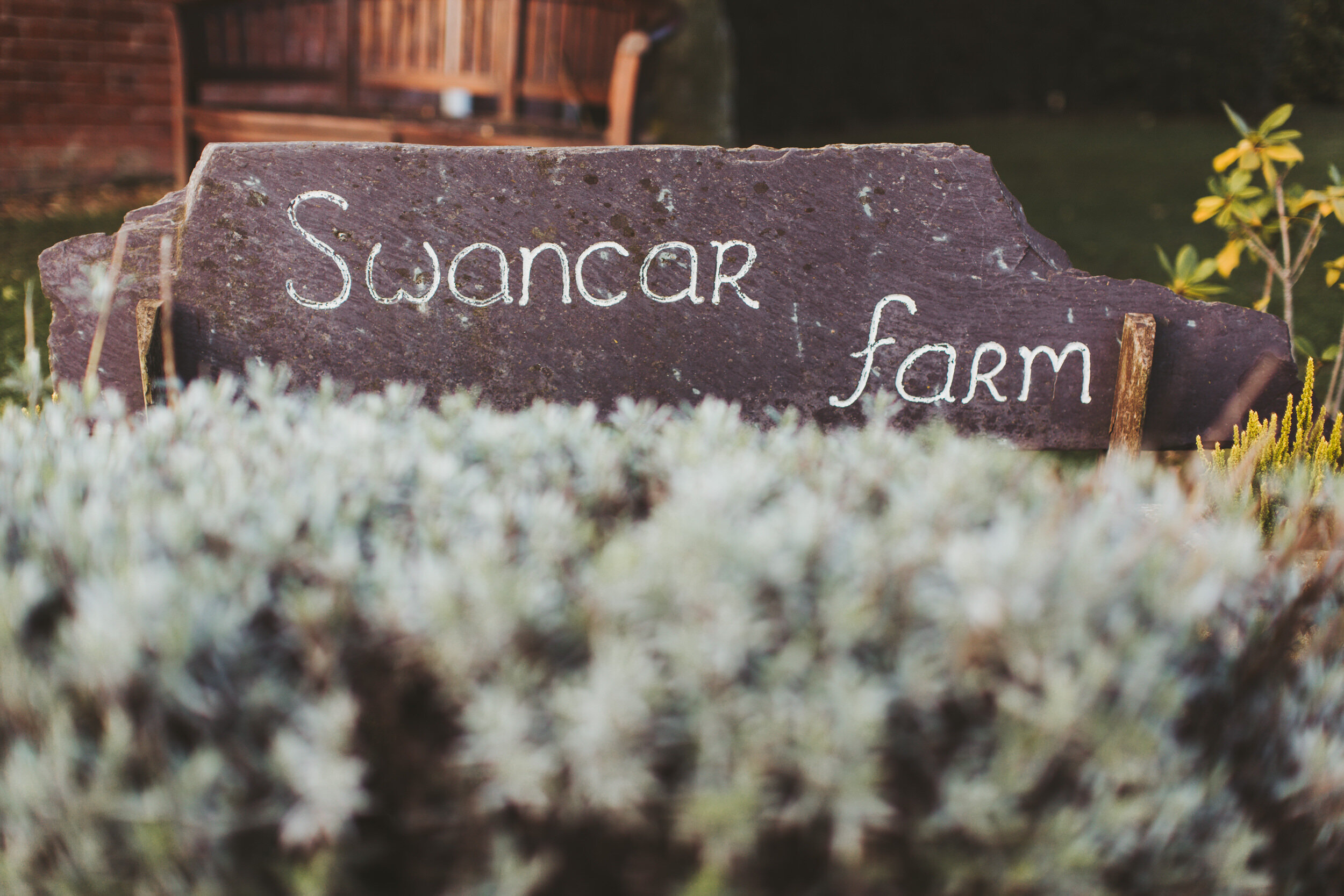 Photogenick Photography swancar farm wedding blog2.jpg