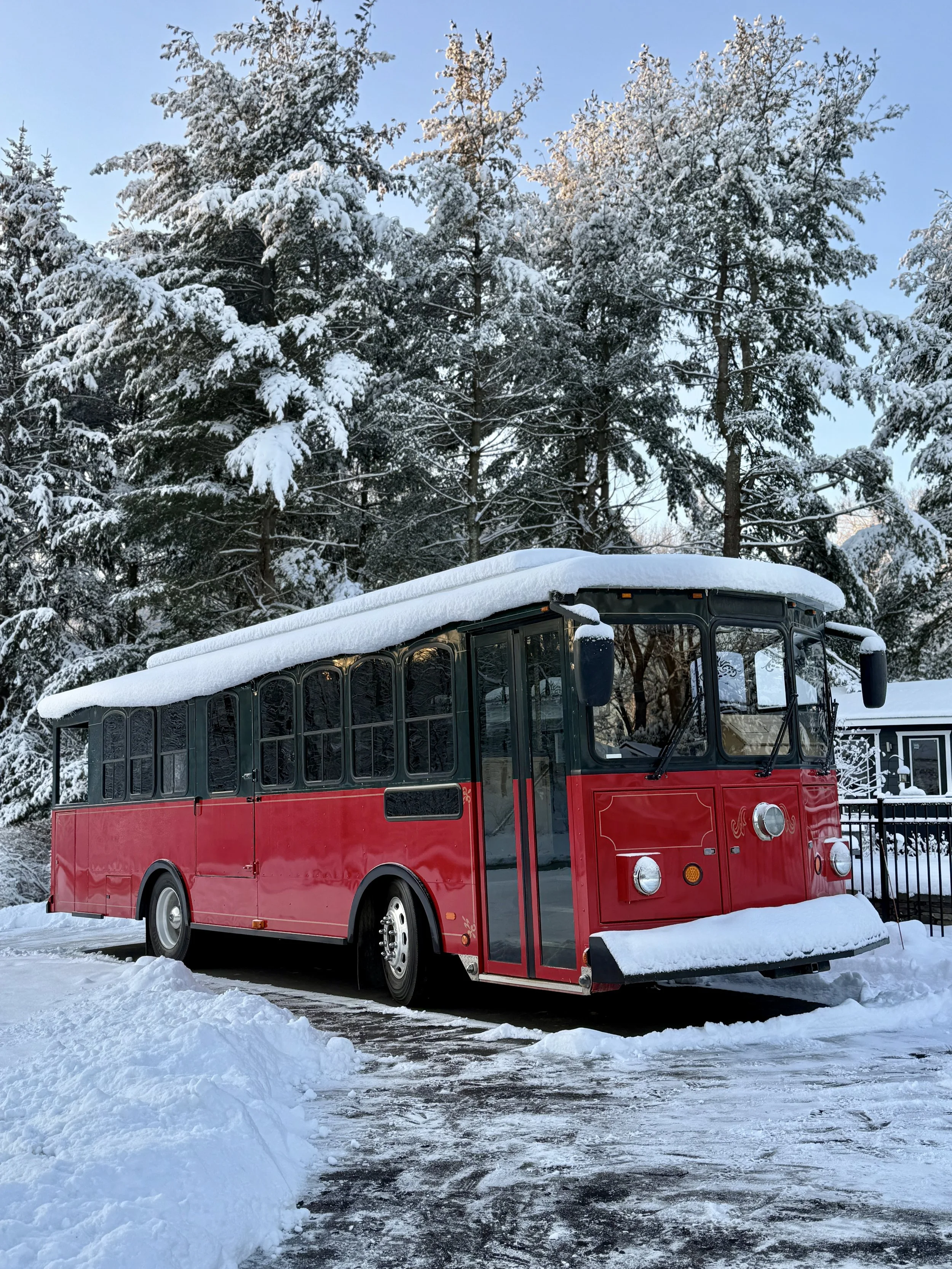 Trolley in the snow.jpg