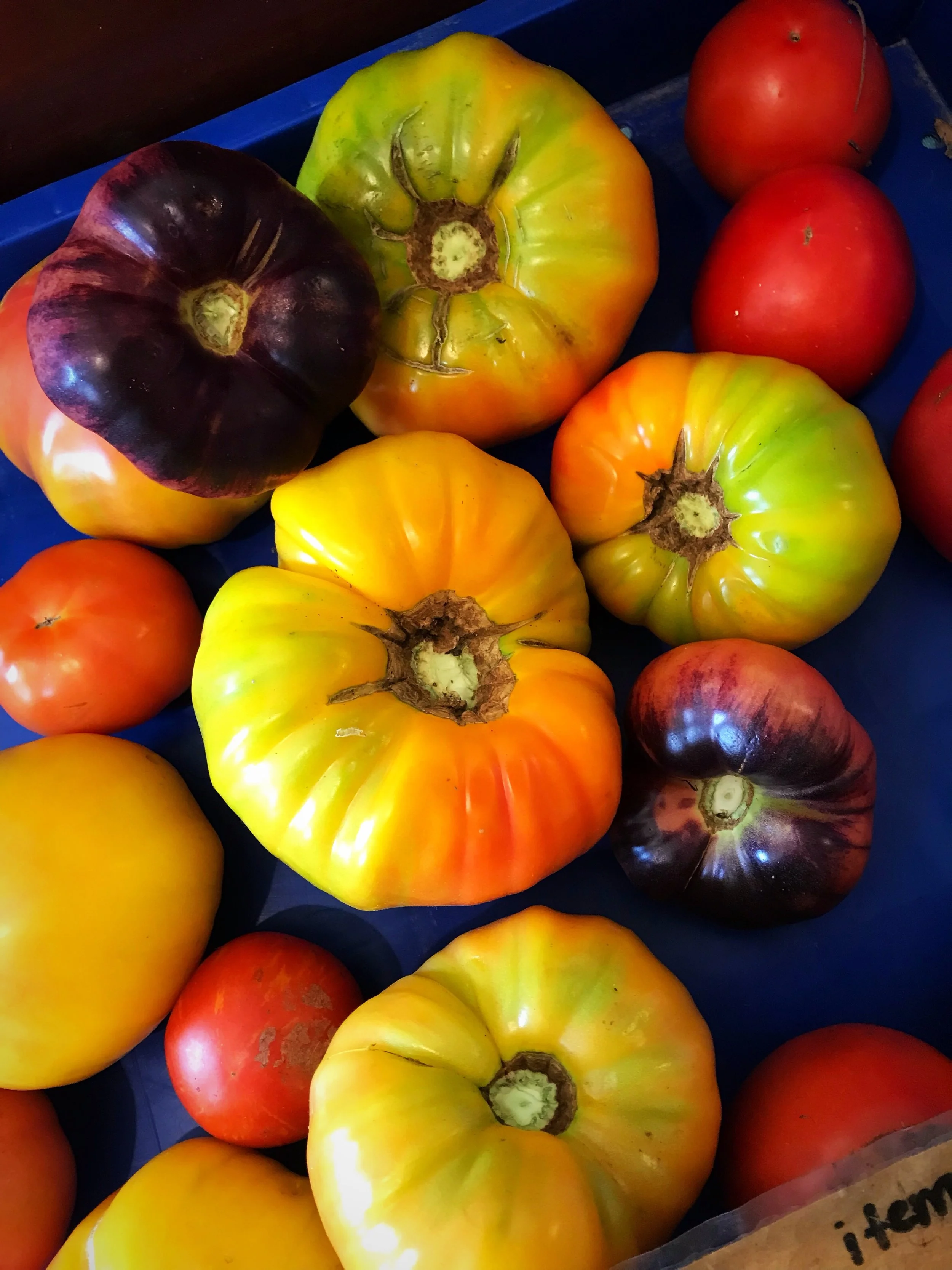 Just Tomatoes and Salt