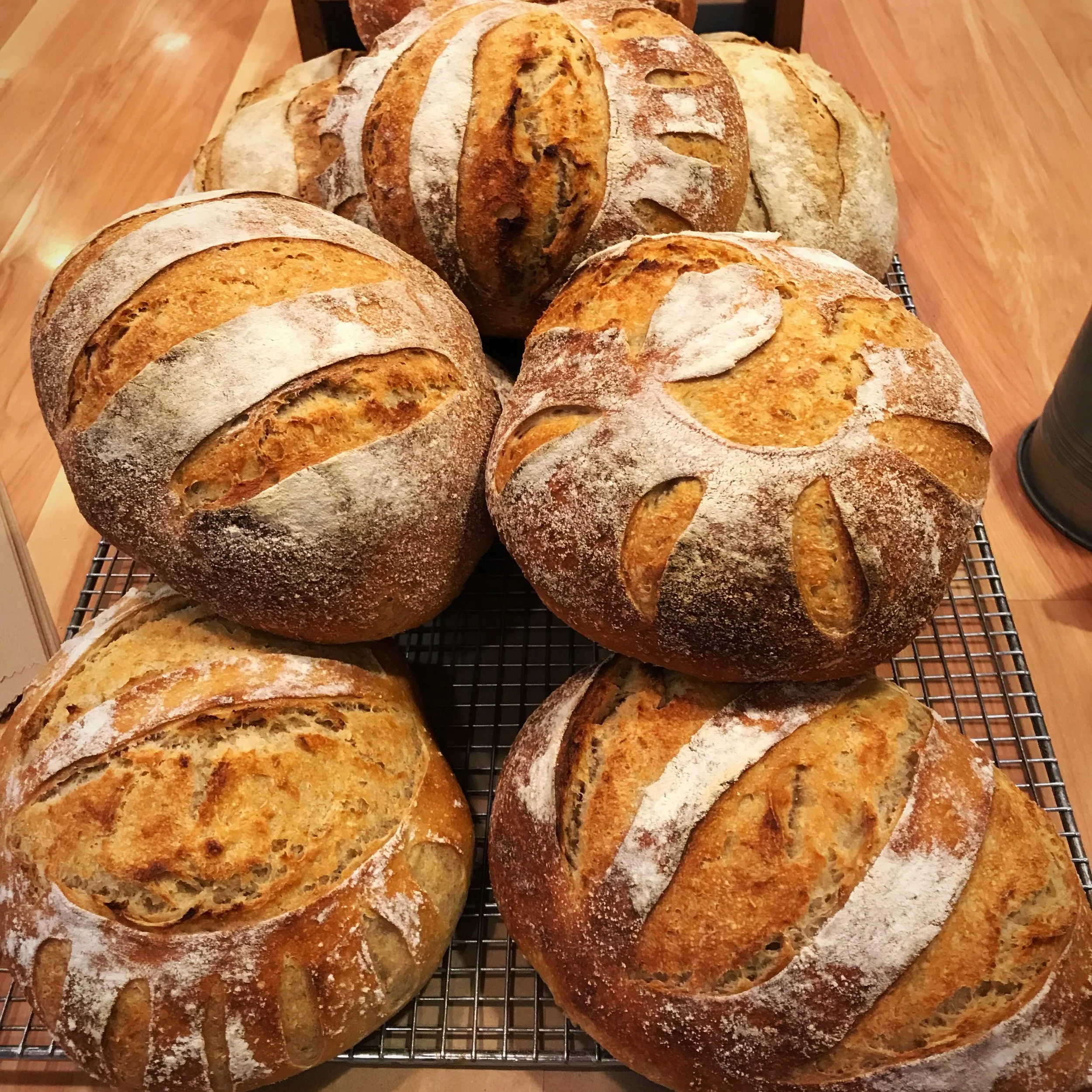 Sourdough: A Love Story, Part I