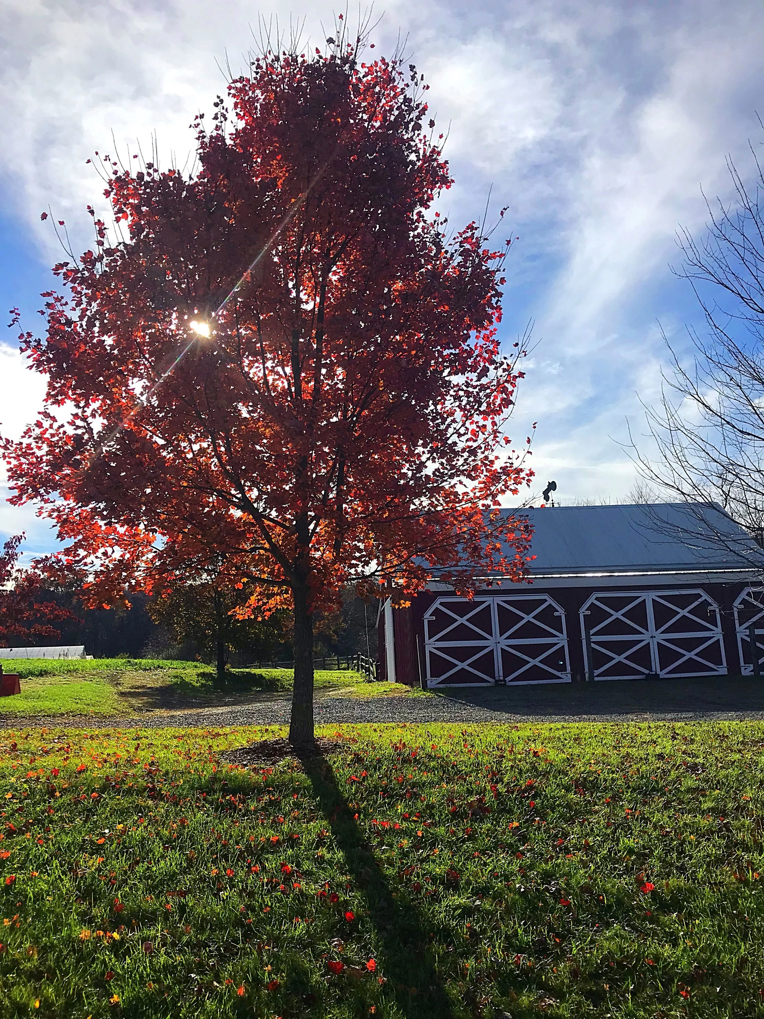 Changing Seasons, Changing Fields, Changing Food