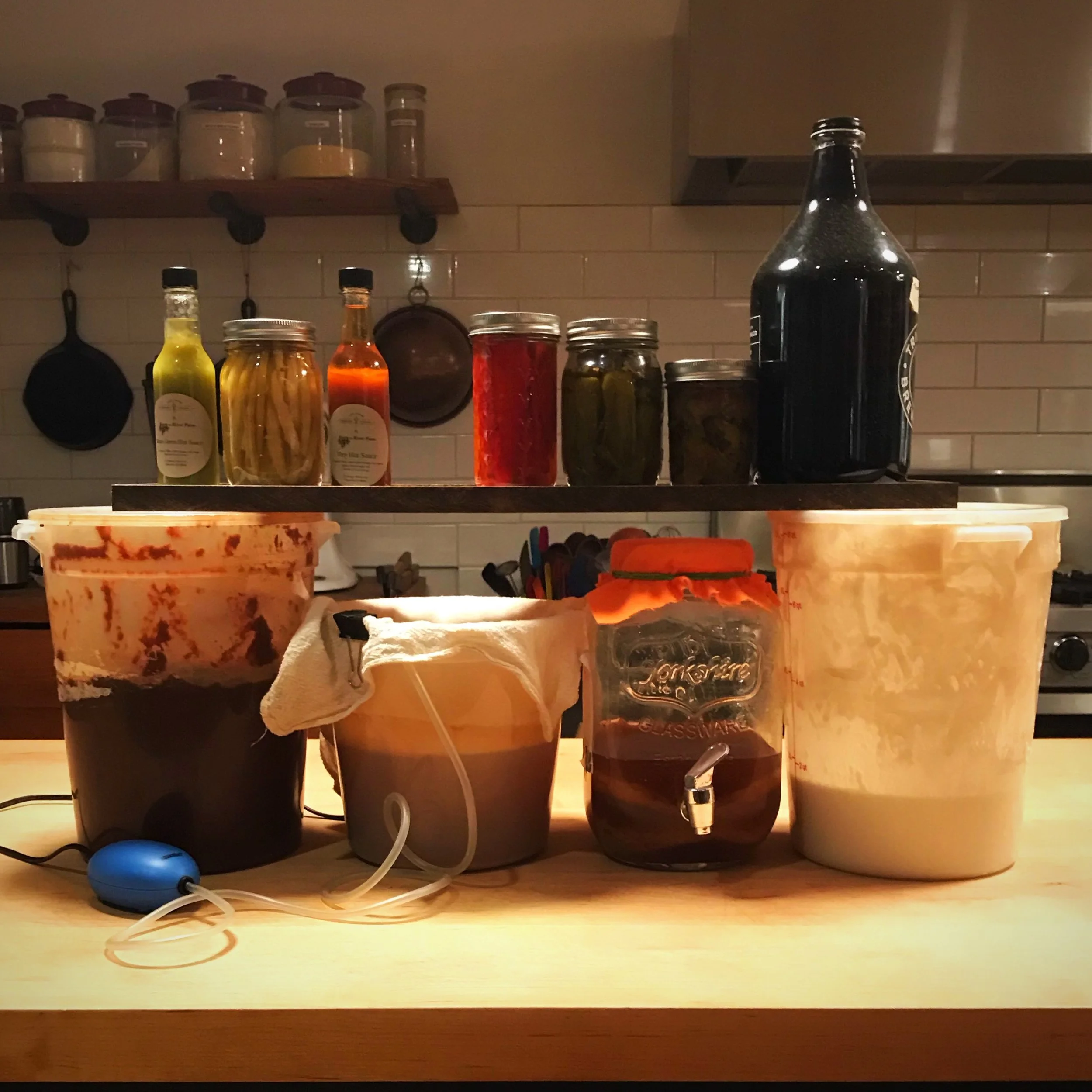 Fermentation: What's Old (and Rotten) is New (and Tasty) Again