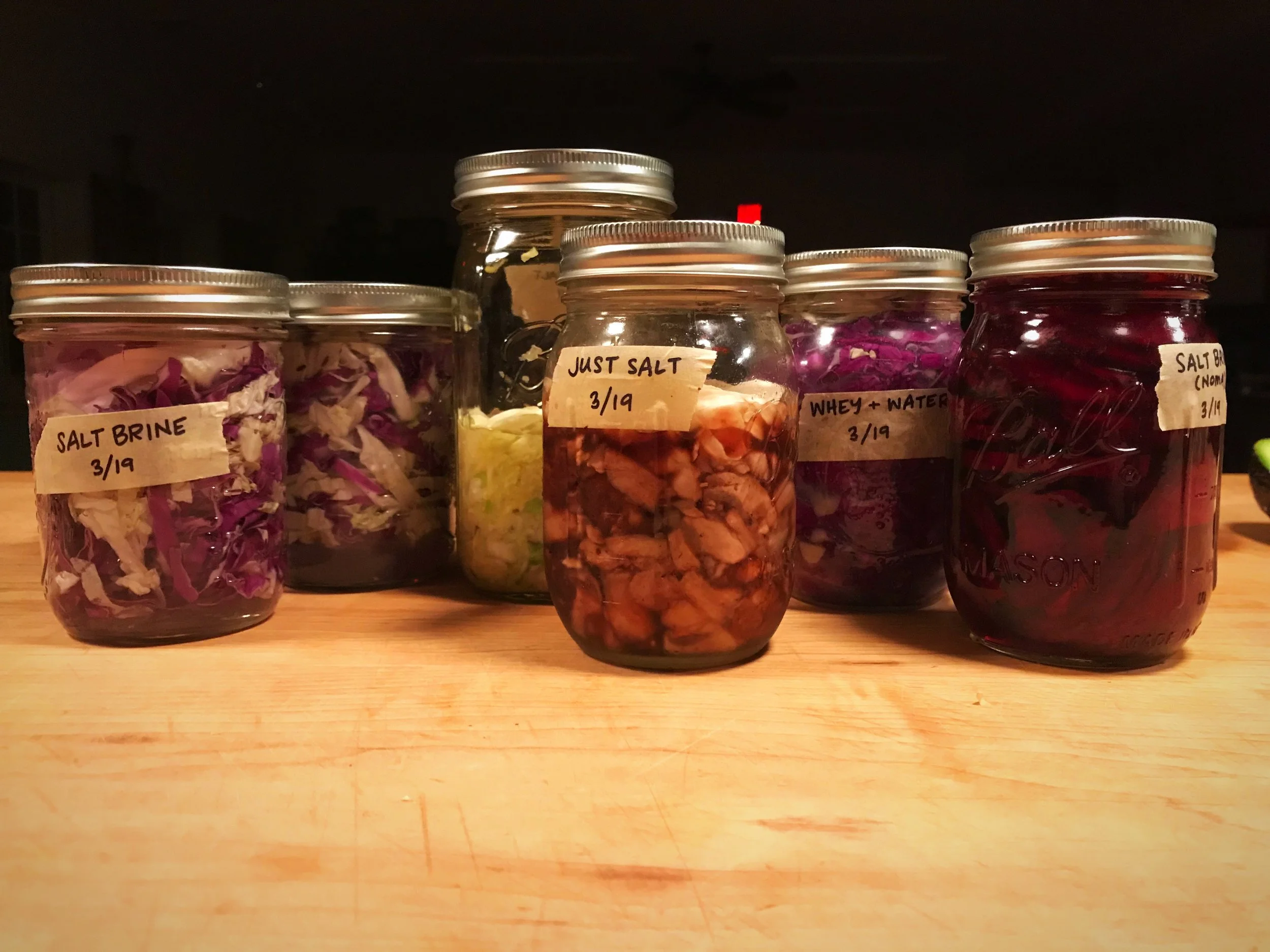 LactoFerments.jpg