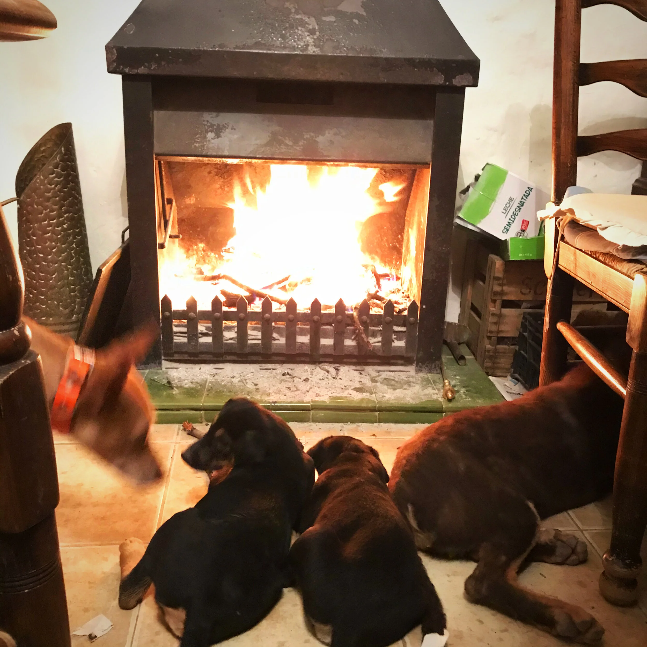 George &amp; Gloria: English Pensioners Living In Andalusía