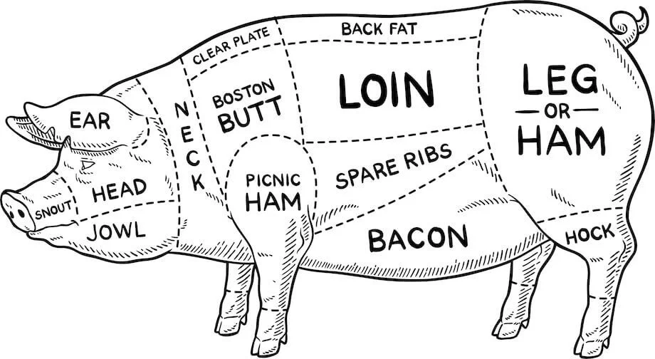 Diagram-of-the-different-types-of-pork-cuts-920.jpg