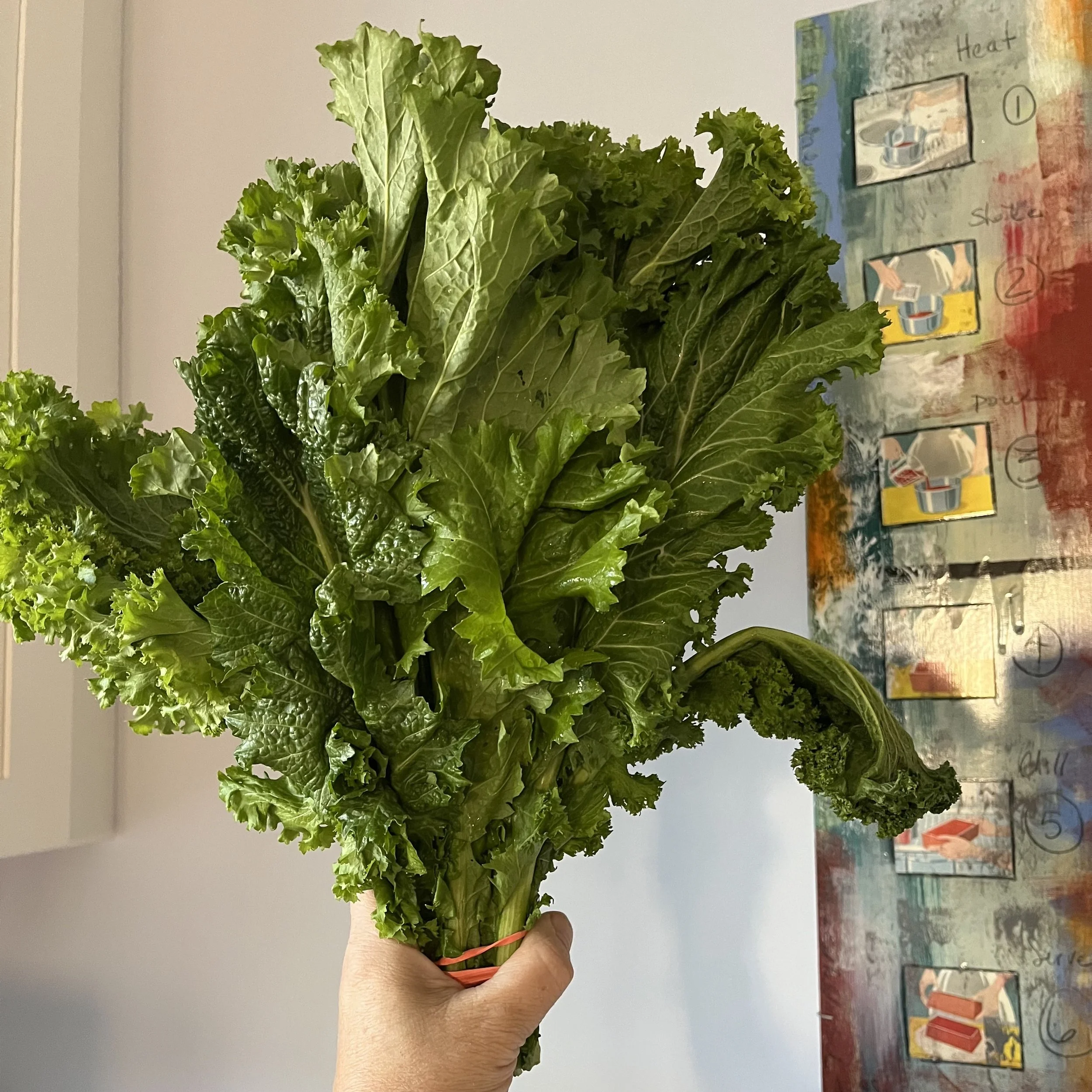 kale veg.jpeg