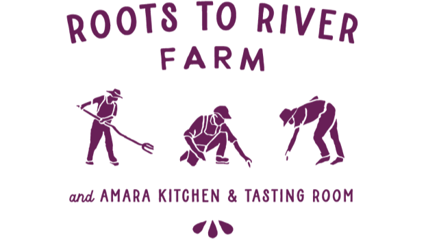 Amara Kitchen &amp; Tasting Room