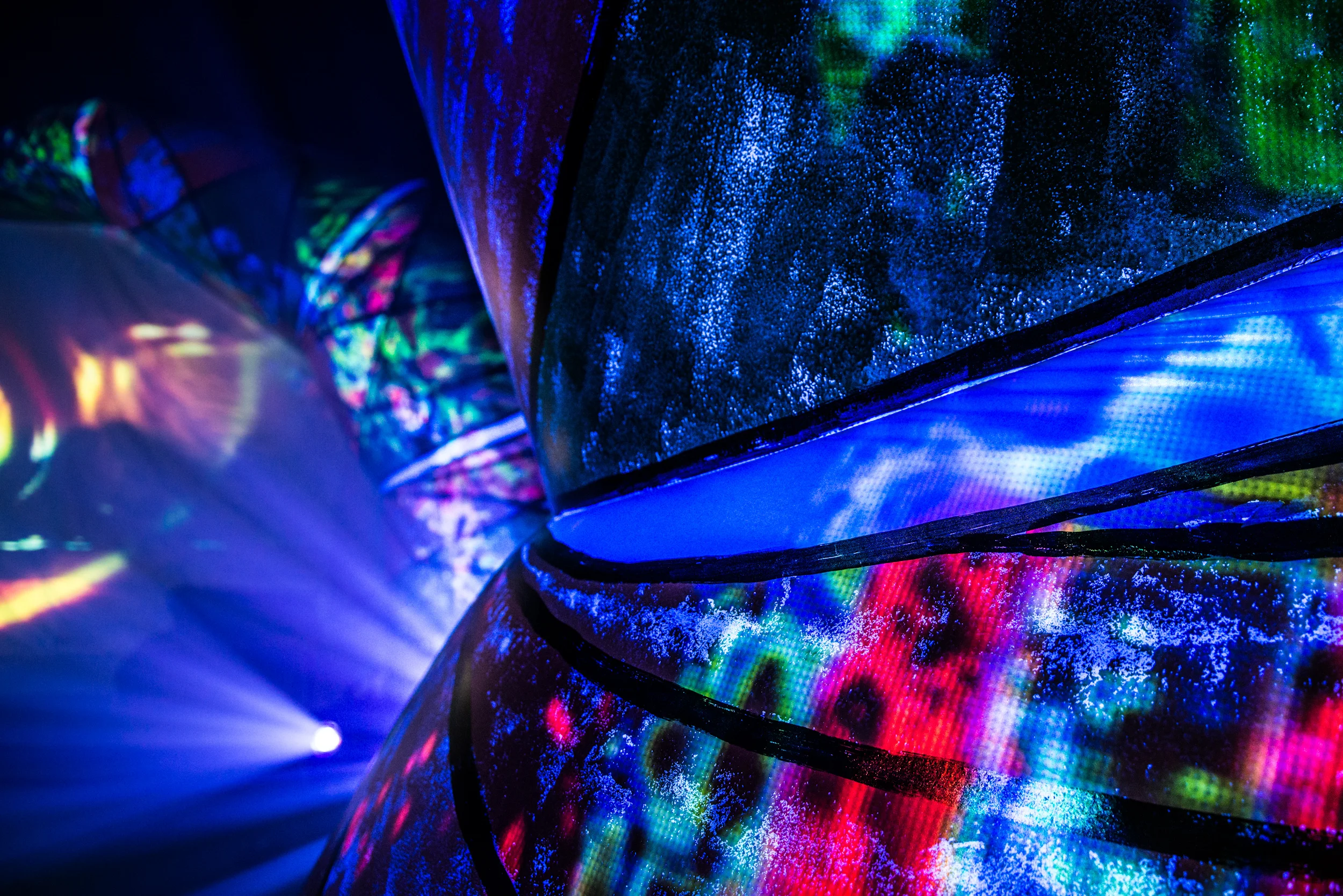 Animal Collective-Centipede Hz World tour 2012