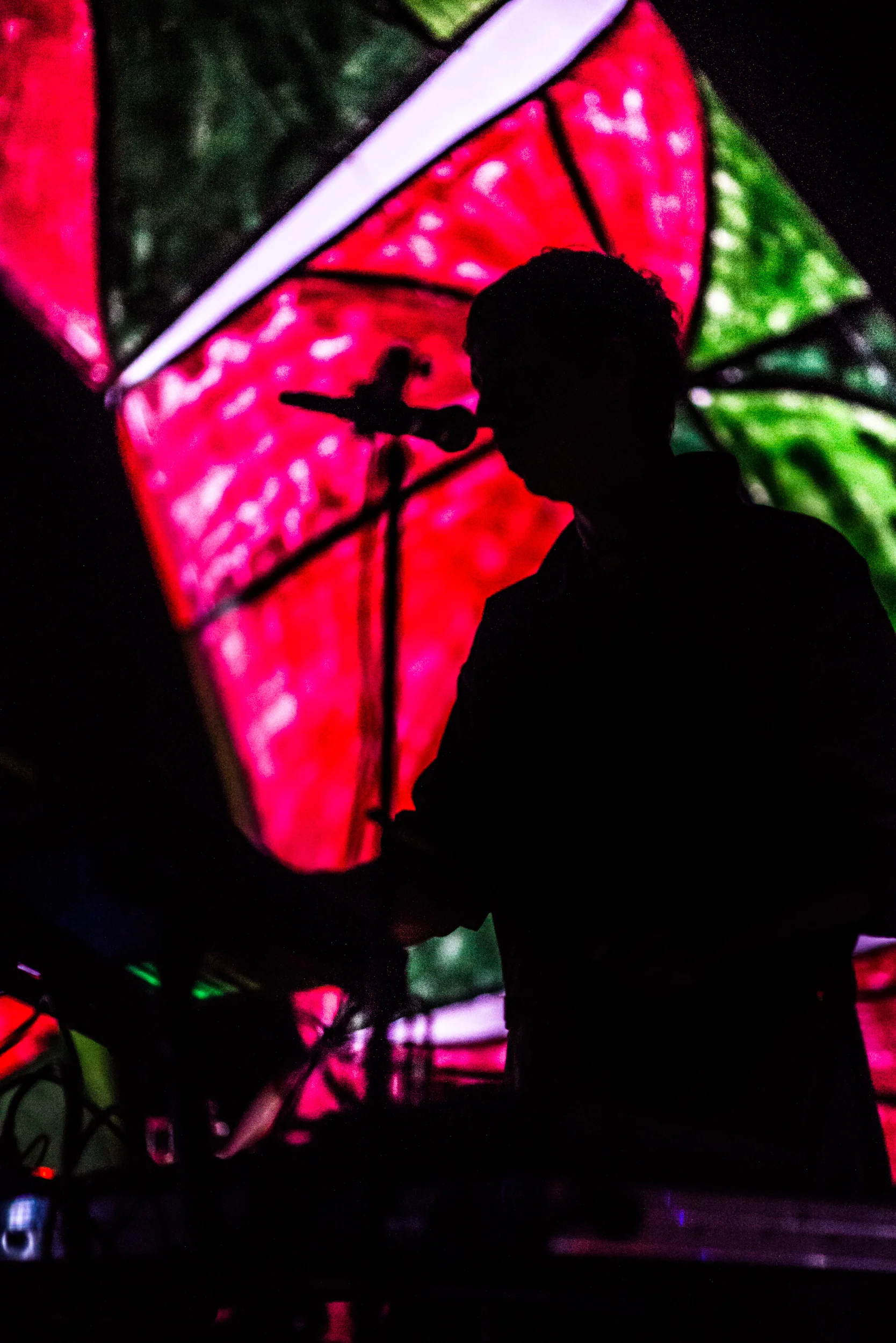 Animal Collective-Centipede Hz World tour 2012