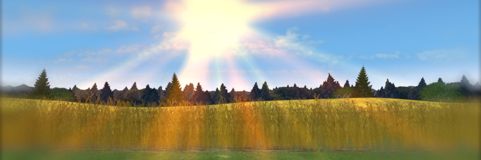 FIERA_wheat1.jpg