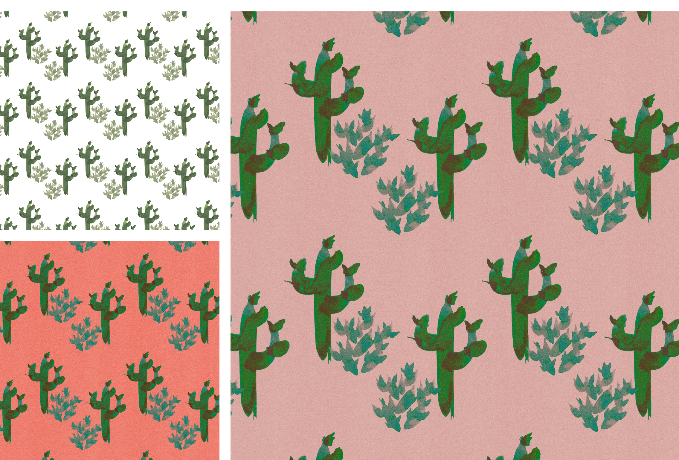 PlantsonPink.jpg